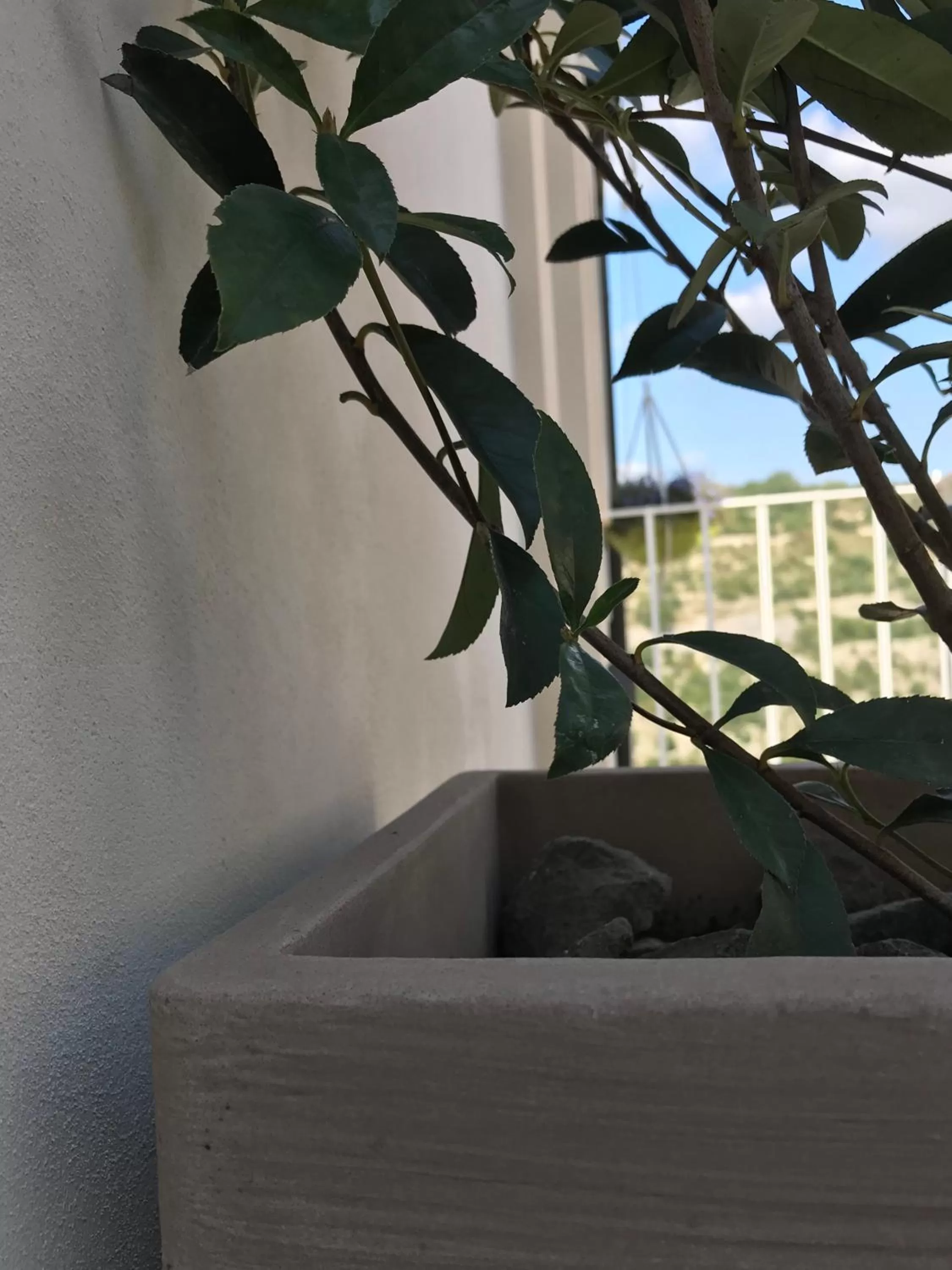 Balcony/Terrace in La Volta Rooms Locazione turistica