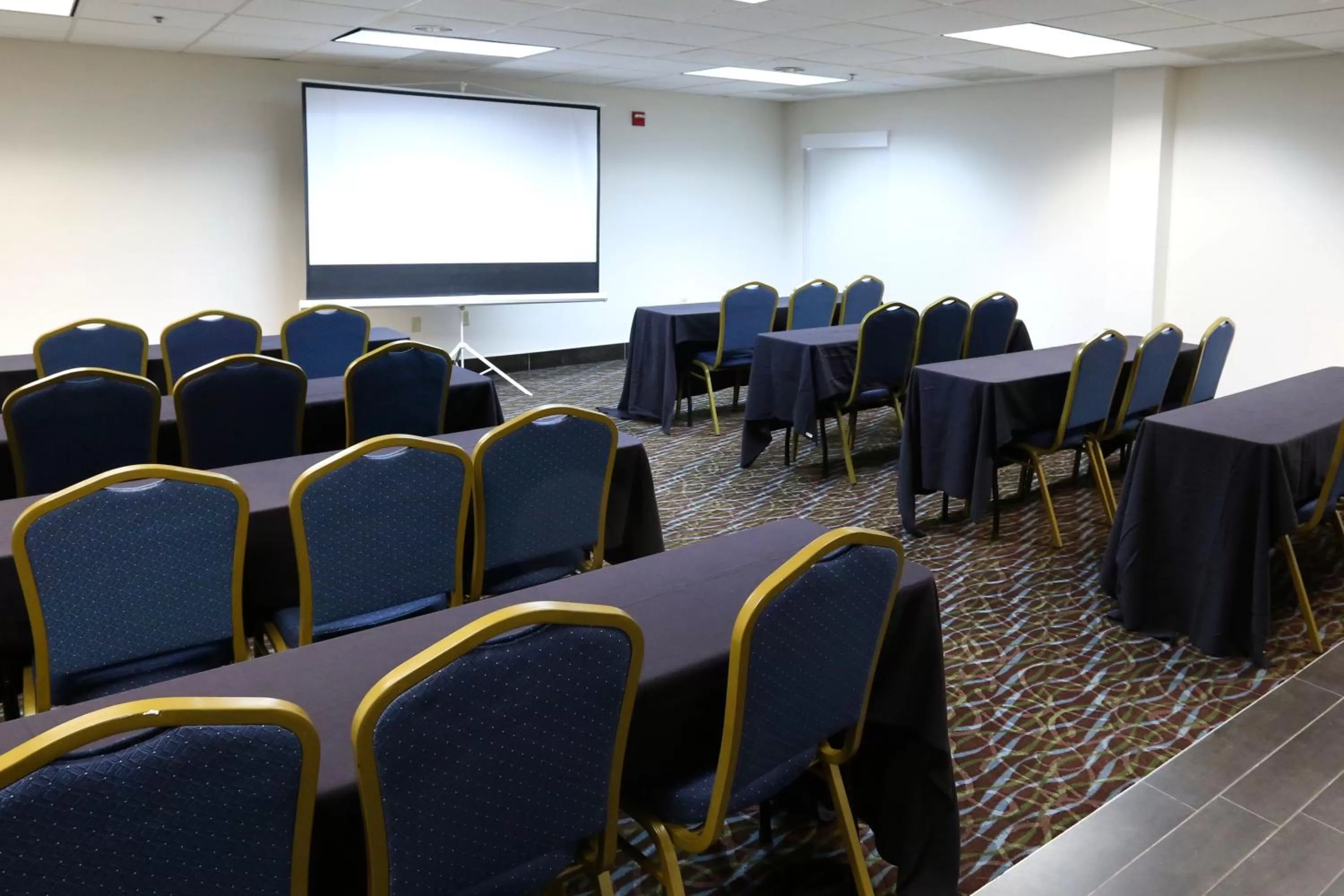 Meeting/conference room in Holiday Inn Express Hotel & Suites Blythewood by IHG