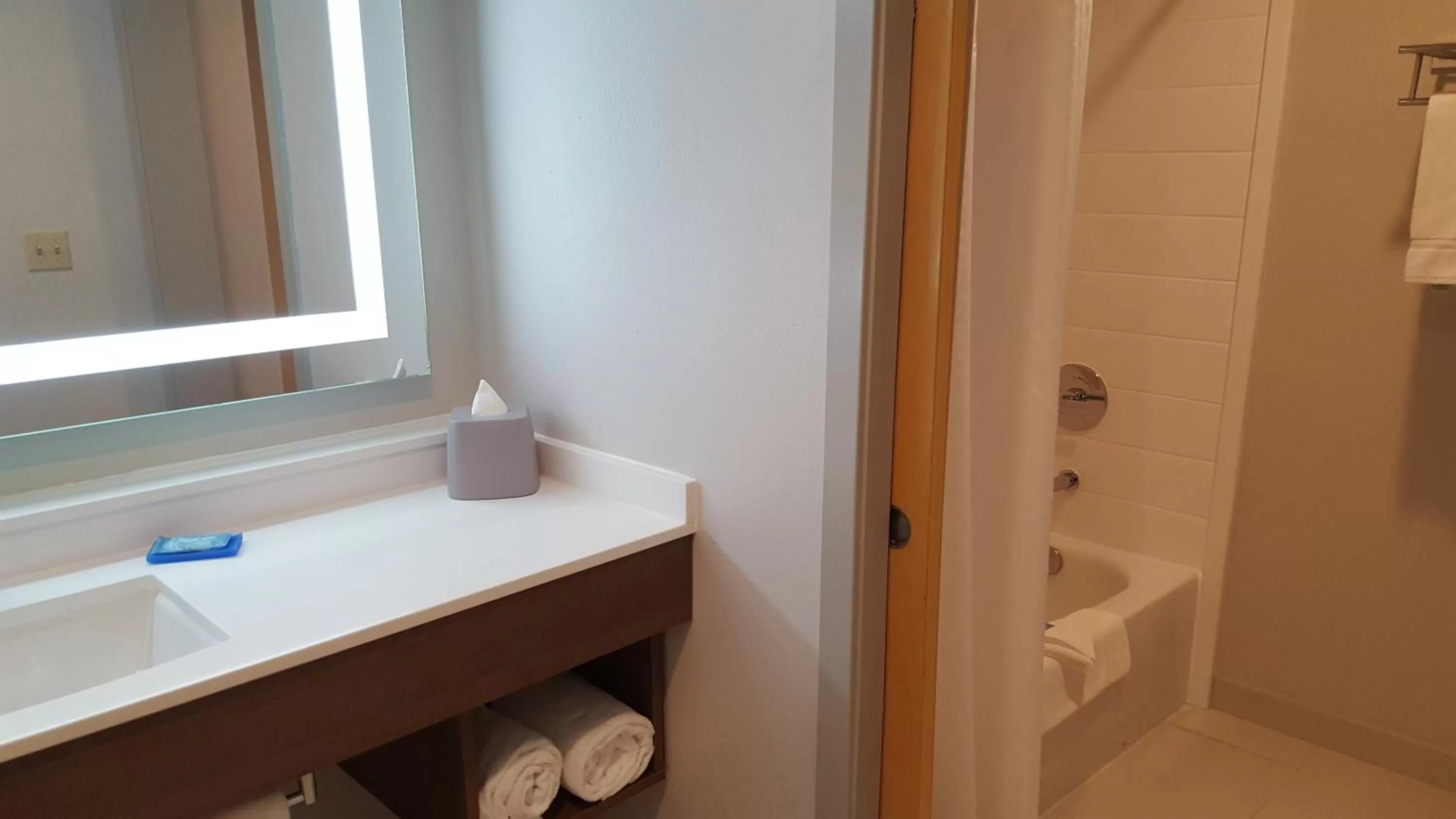 Toilet in Holiday Inn Express Fremont - Milpitas Central by IHG