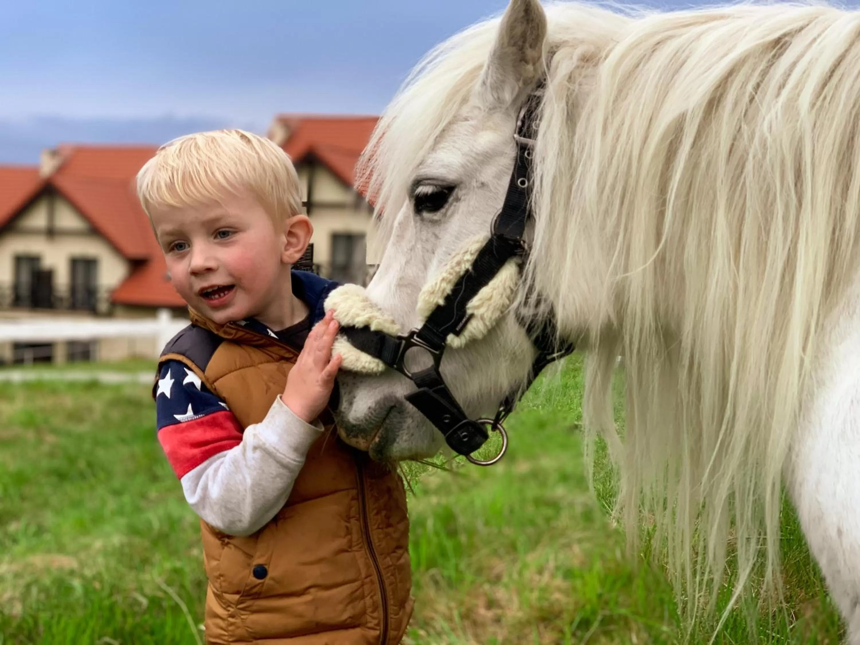 Animals in Hotel Santa Monica