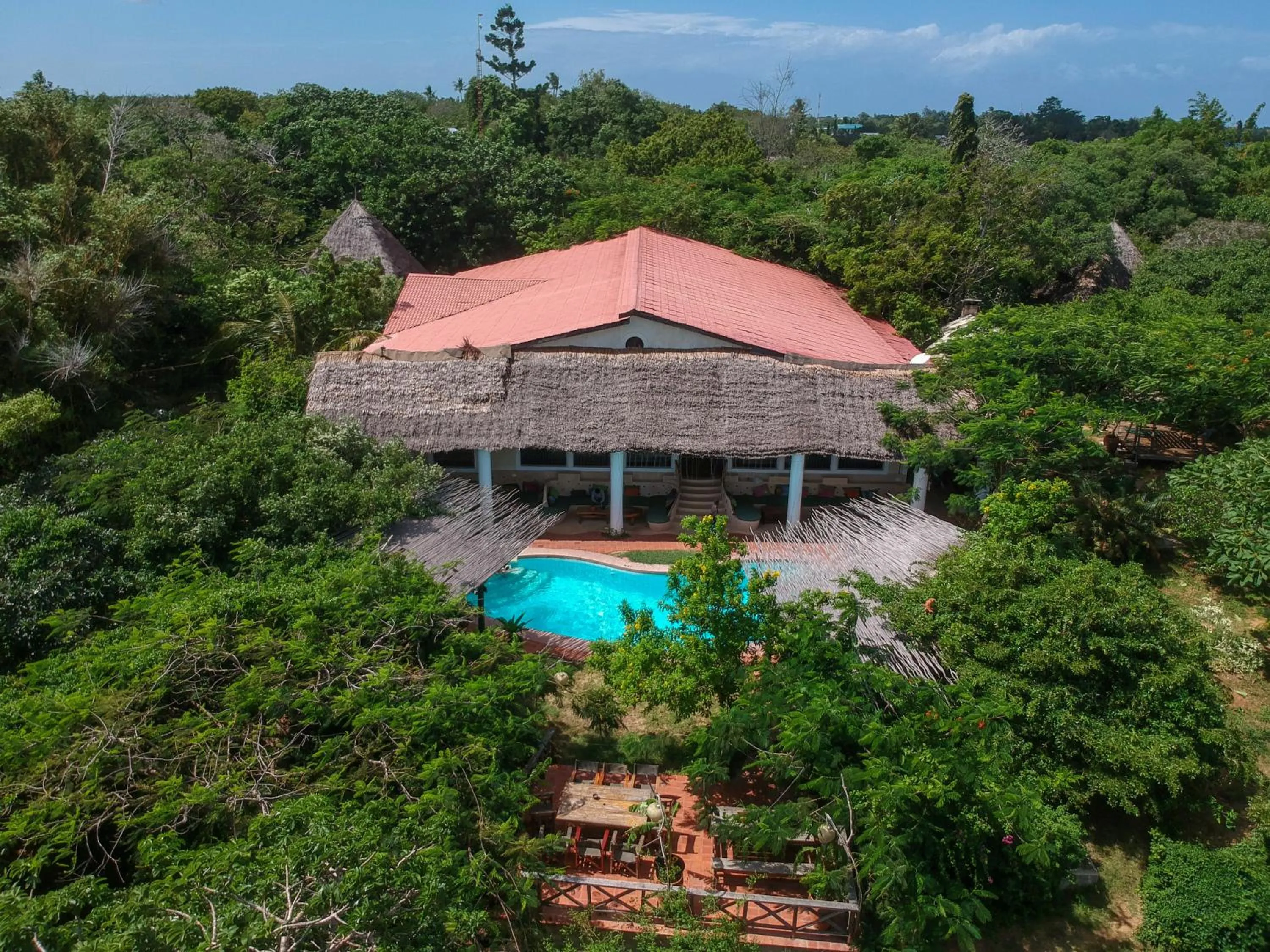Bird's eye view in Distant Relatives Ecolodge & Backpackers