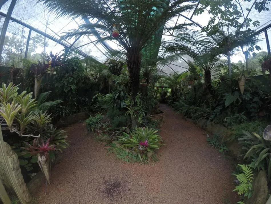 Garden view in El Pueblito Iguazú