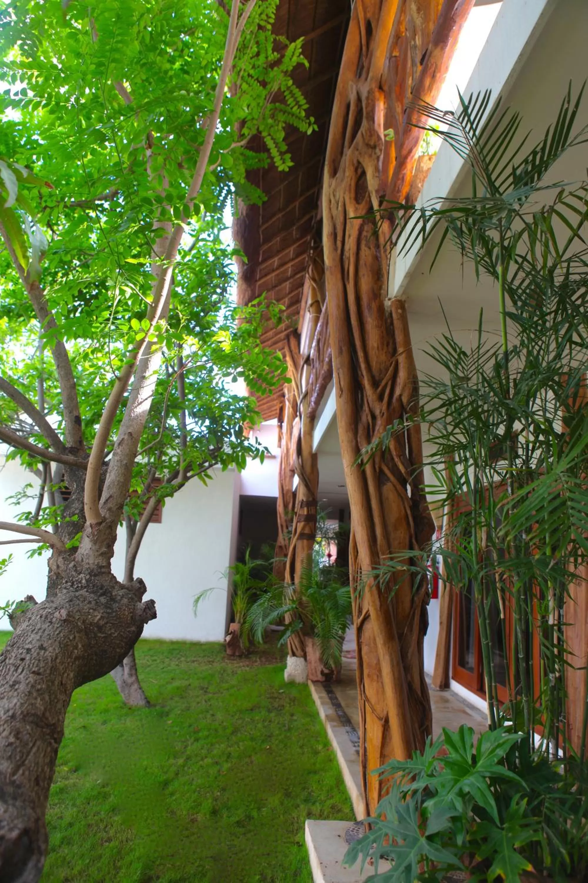 Day in Corazon De Jade Tulum