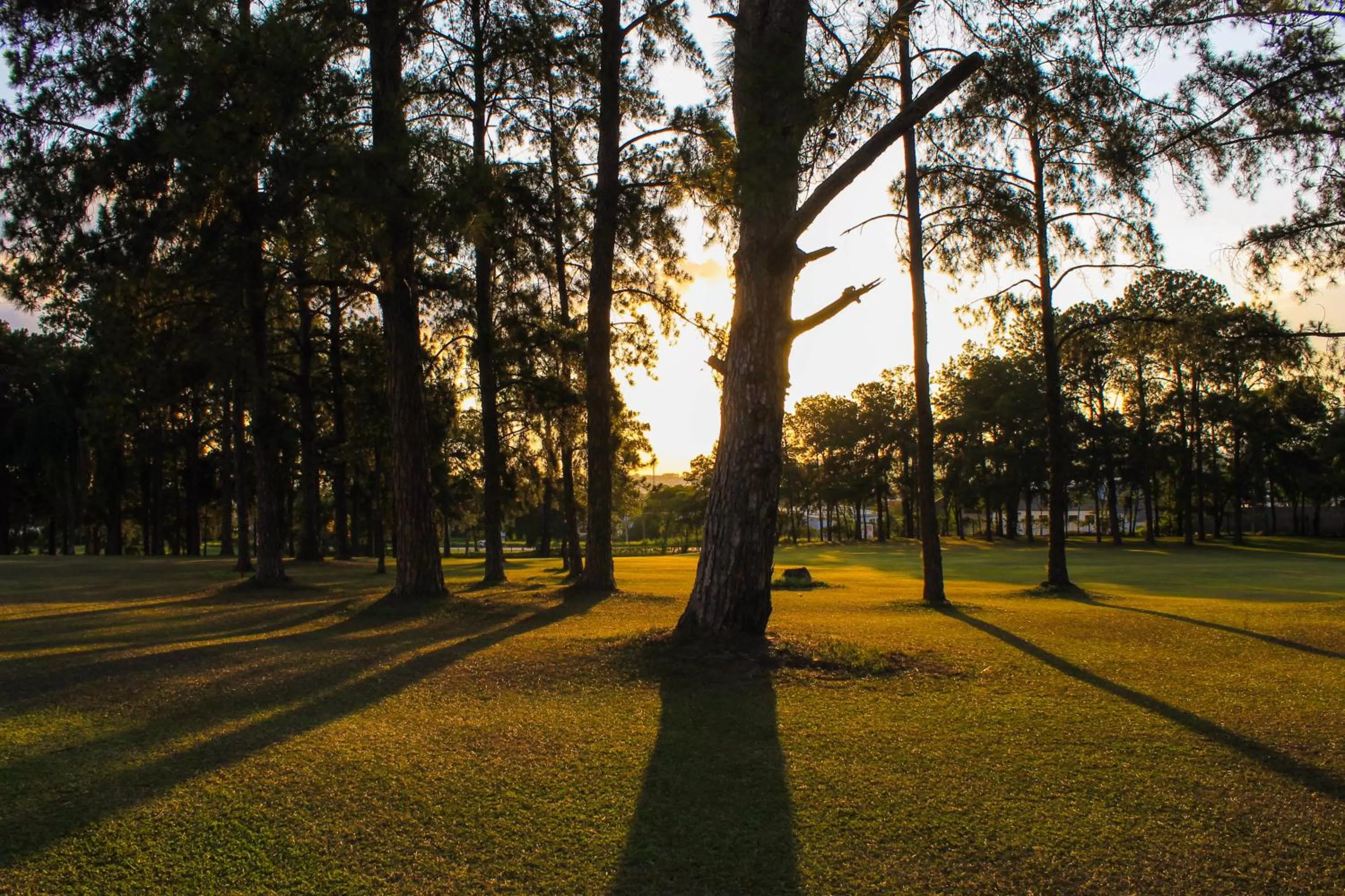 Golfcourse in Hotel Resort e Golfe Clube dos 500