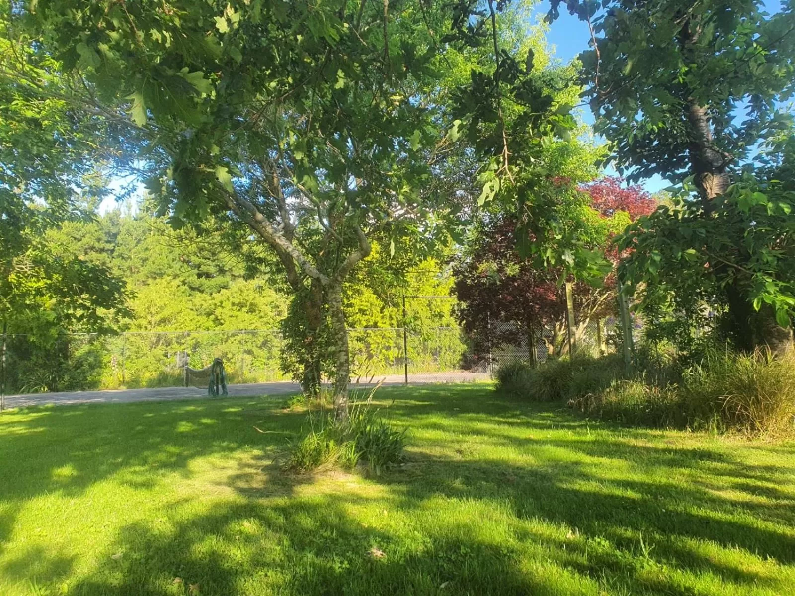 Garden view in Newlands Bed and Breakfast
