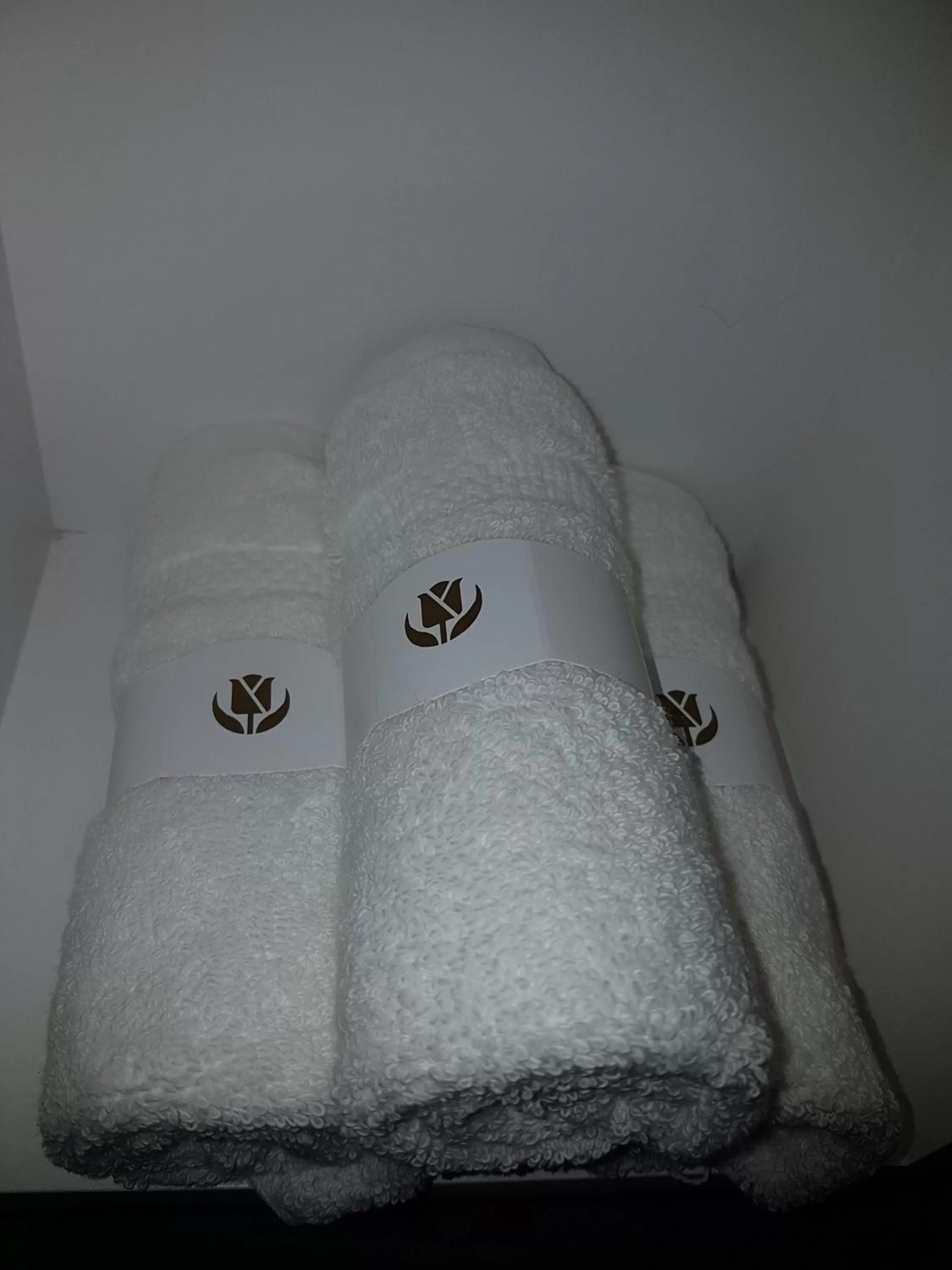 Area and facilities, Bed in Golden Tulip El Mechtel