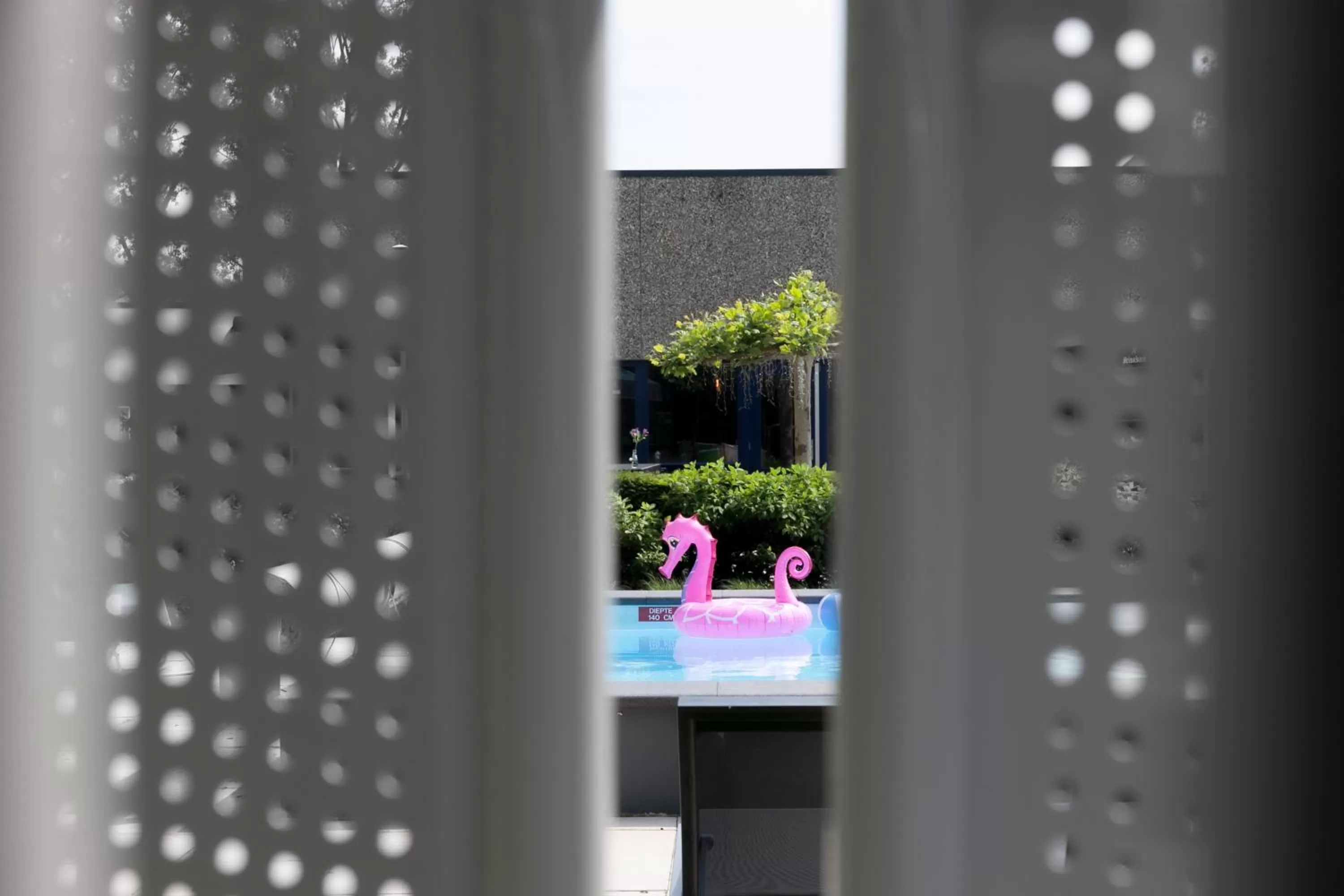 Swimming pool in Novotel Rotterdam - Schiedam