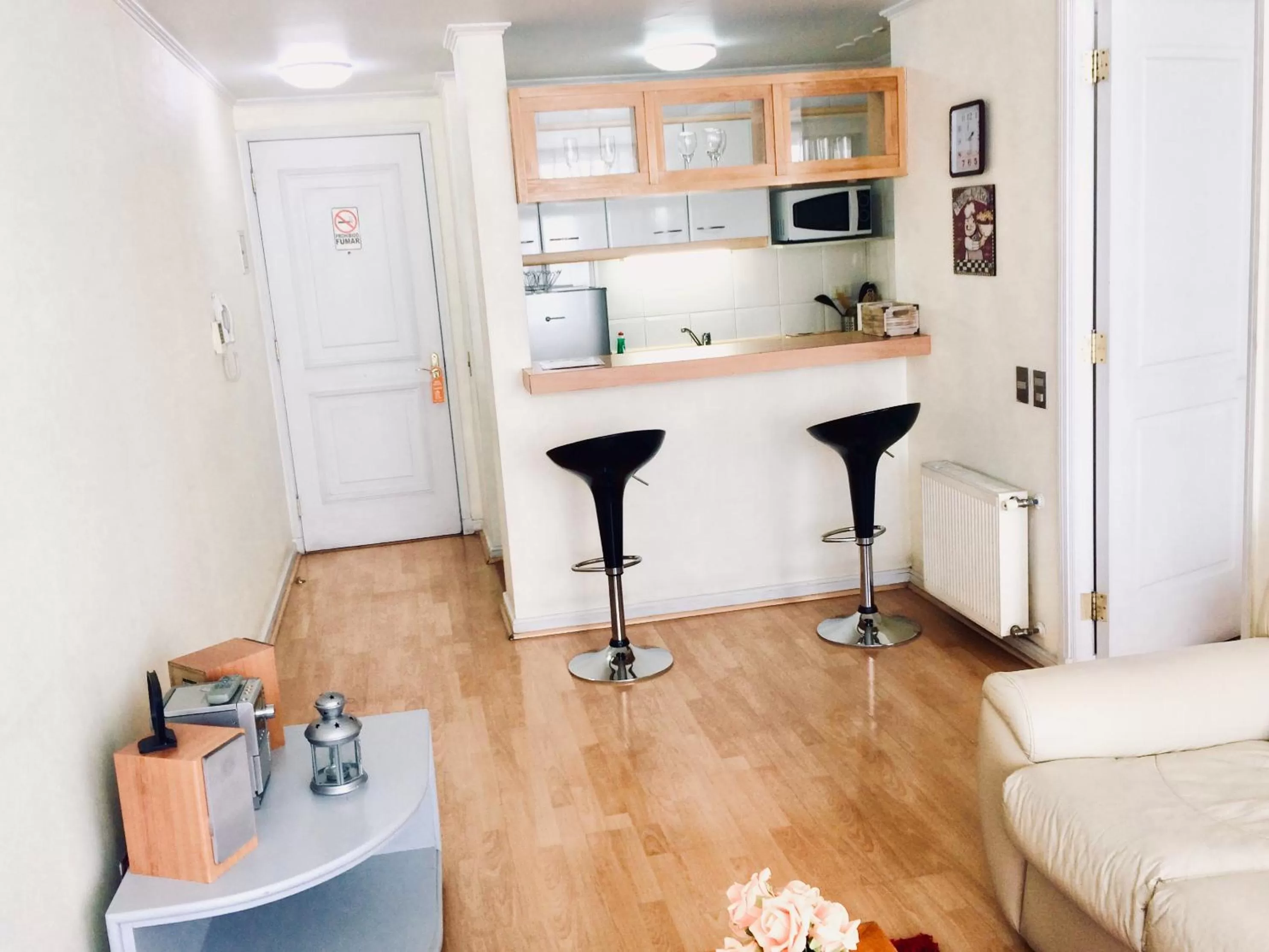 Living room in Aconcagua Apartments