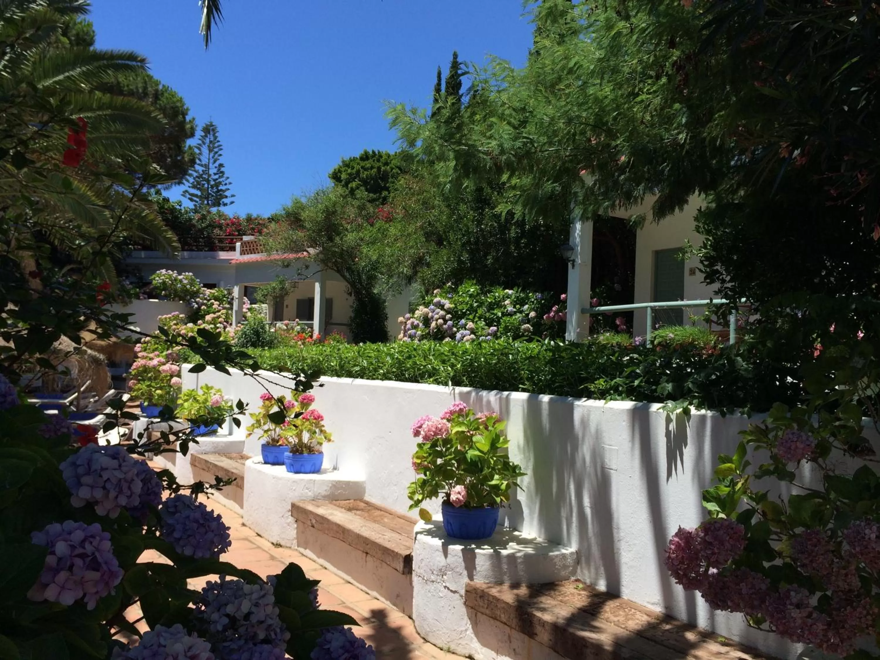 Garden in Mesón de Sancho