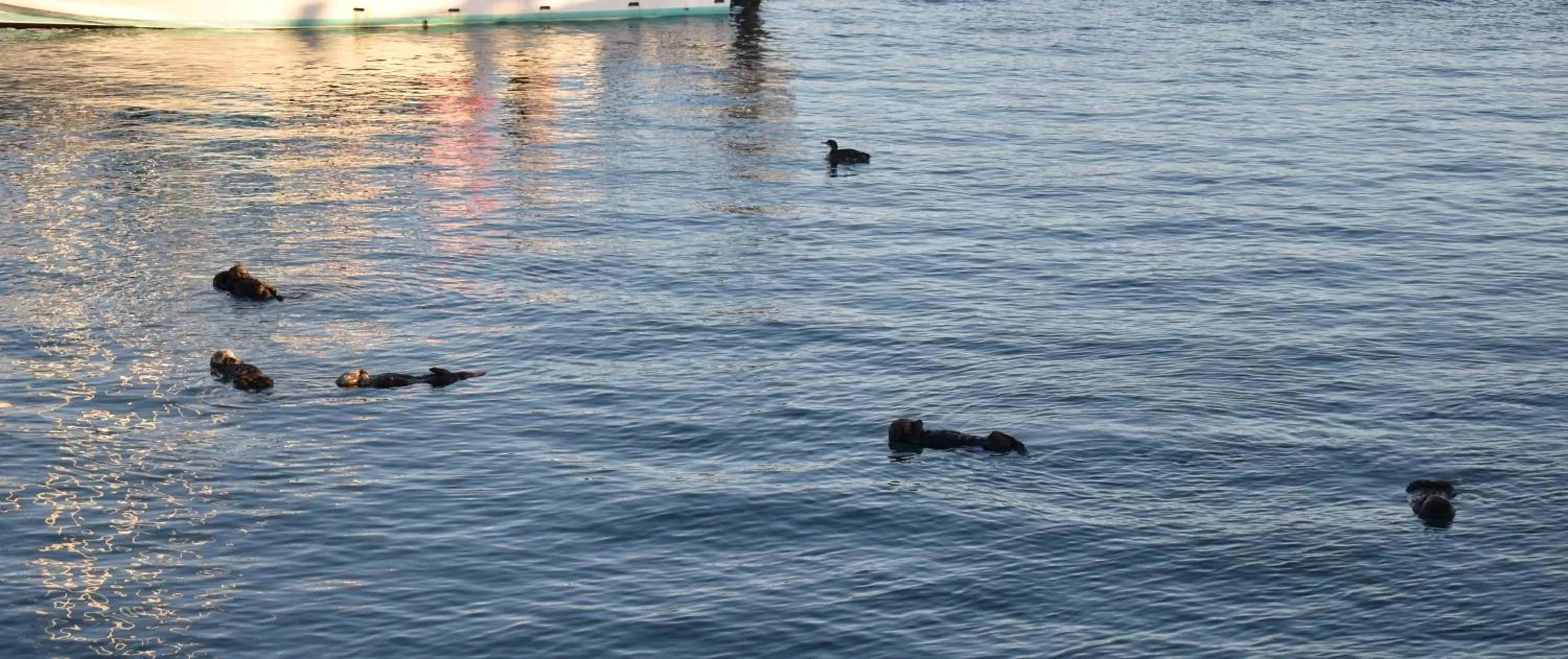 Lake view in Rockview Inn and Suites