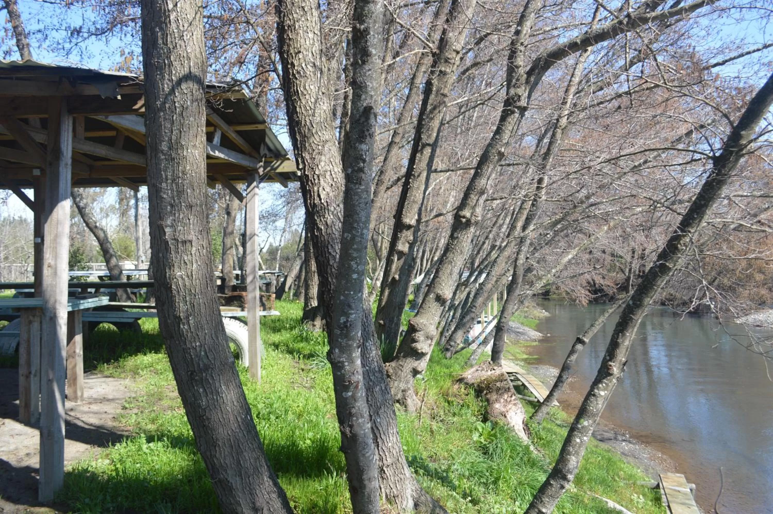 Coyunche Cabañas y Camping Laja & San Rosendo