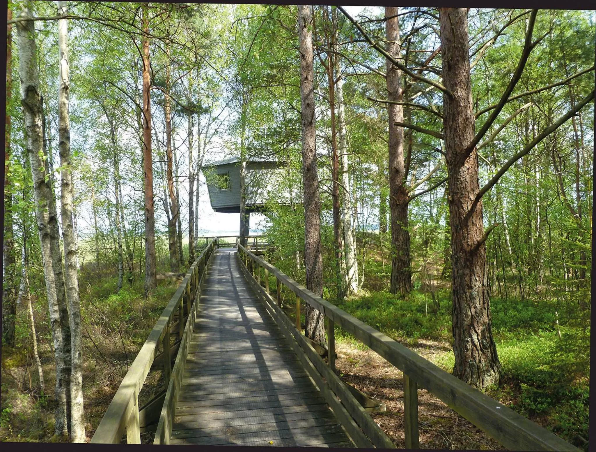 Area and facilities in Hotel Småland