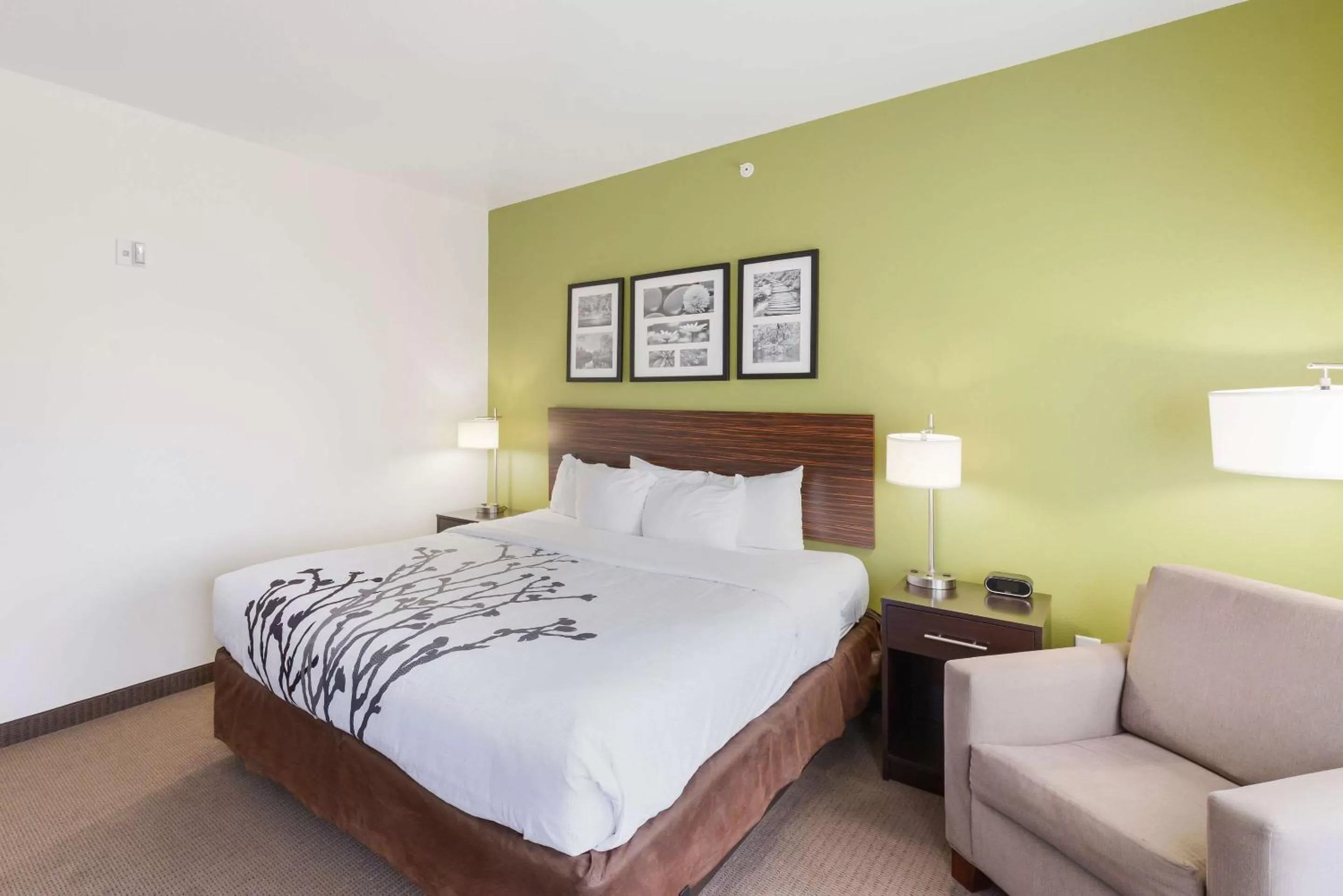 Photo of the whole room, Bed in Sleep Inn & Suites Midland West