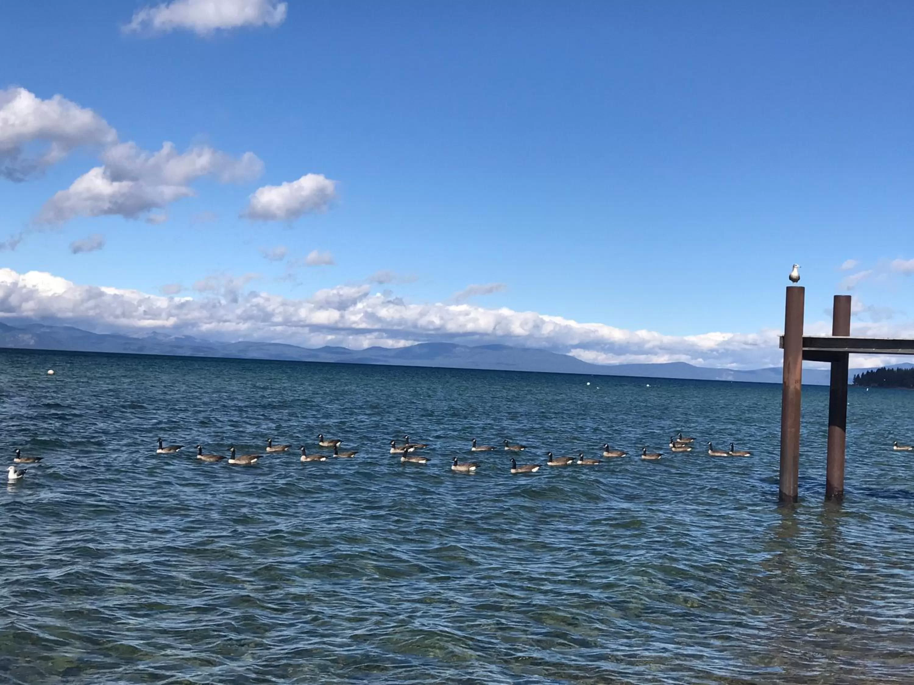 Beach in Paradice Motel