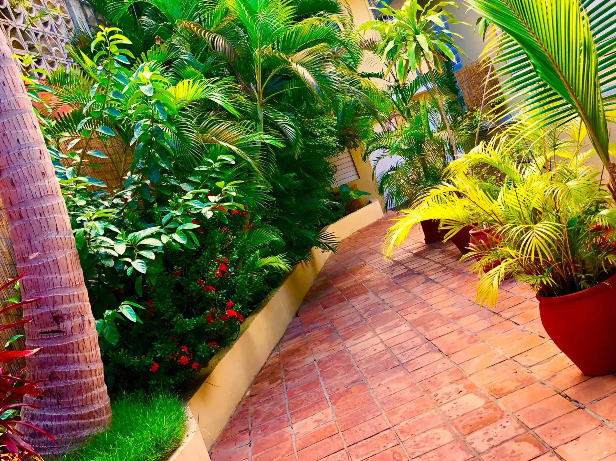 Natural landscape in Casa del Caribe Inn