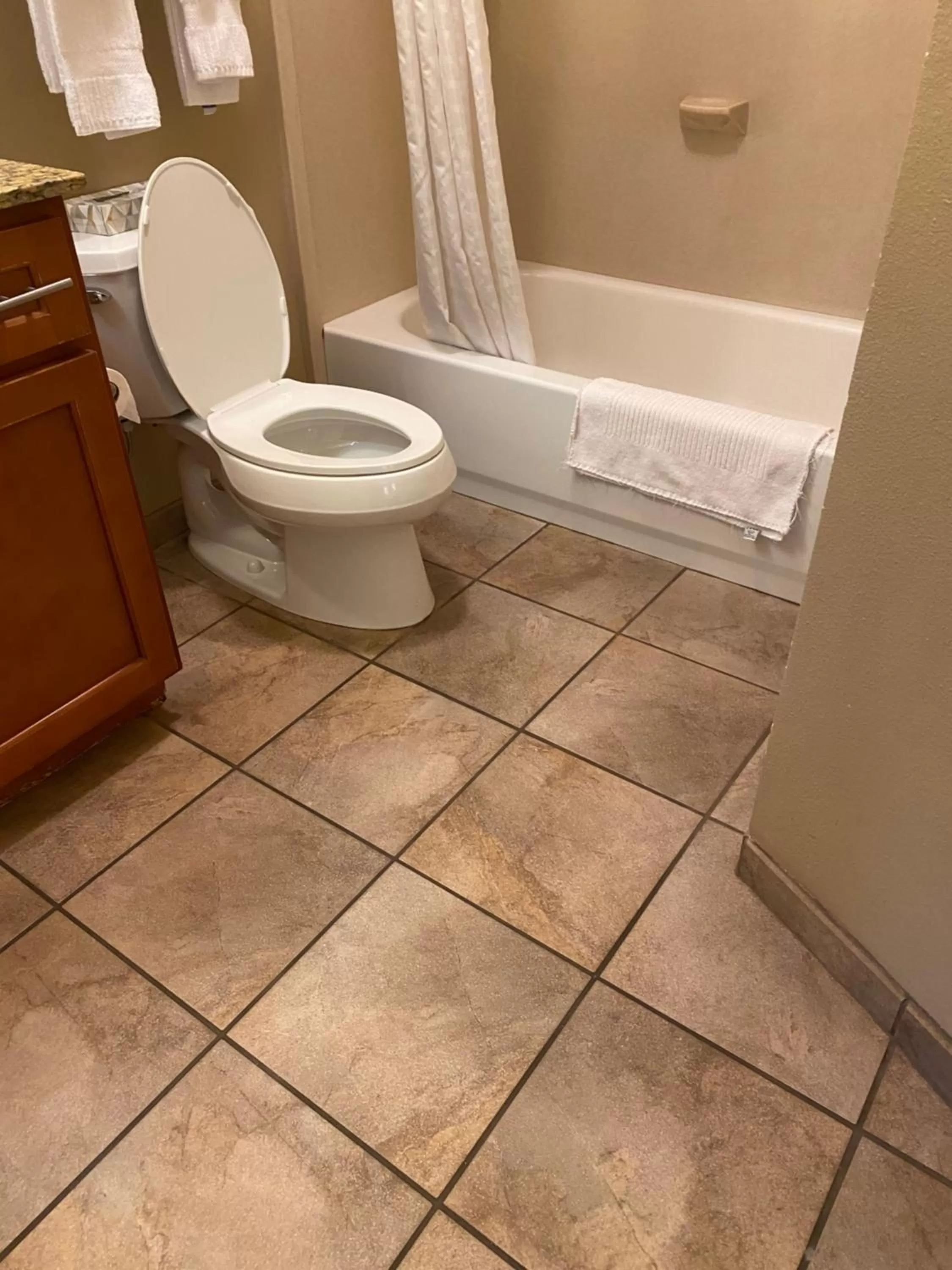 Bathroom in Candlewood Williamsport by IHG