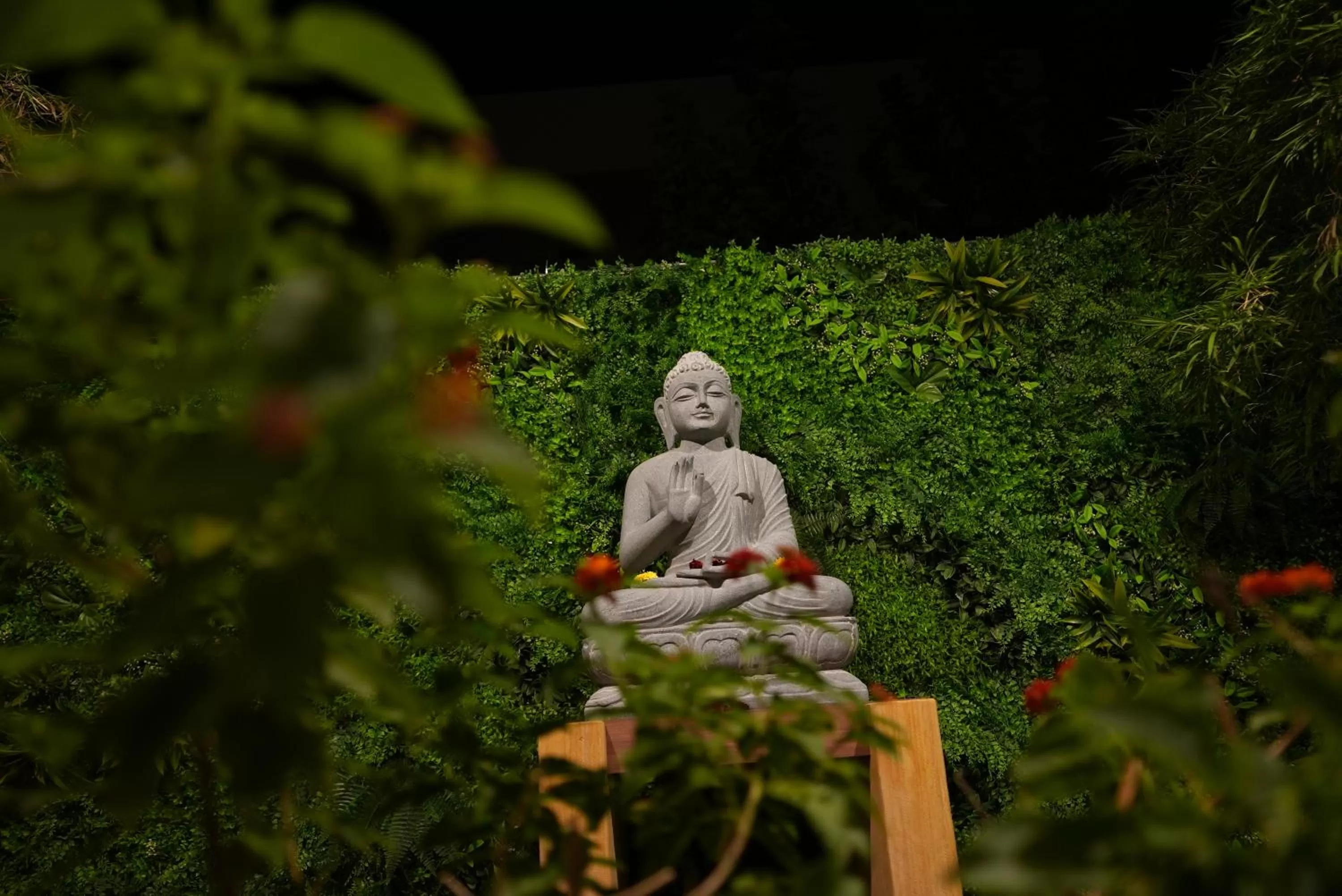 Night in Eden Park Boutique Hotel