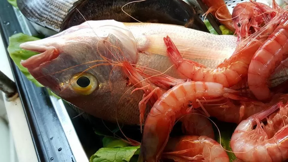 Other Animals in Al Corbezzolo