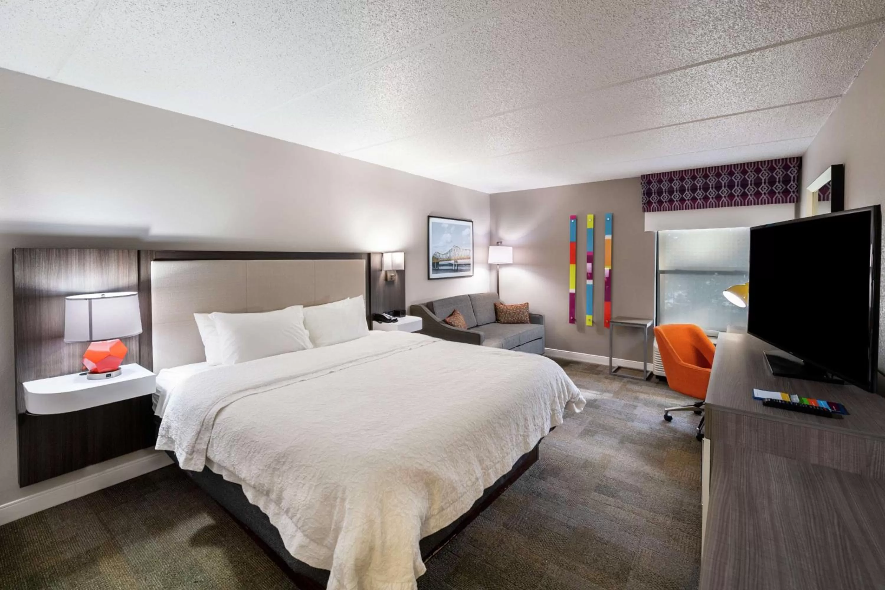 King Room with Bath Tub - Disability/Hearing Access in Hampton Inn Gainesville