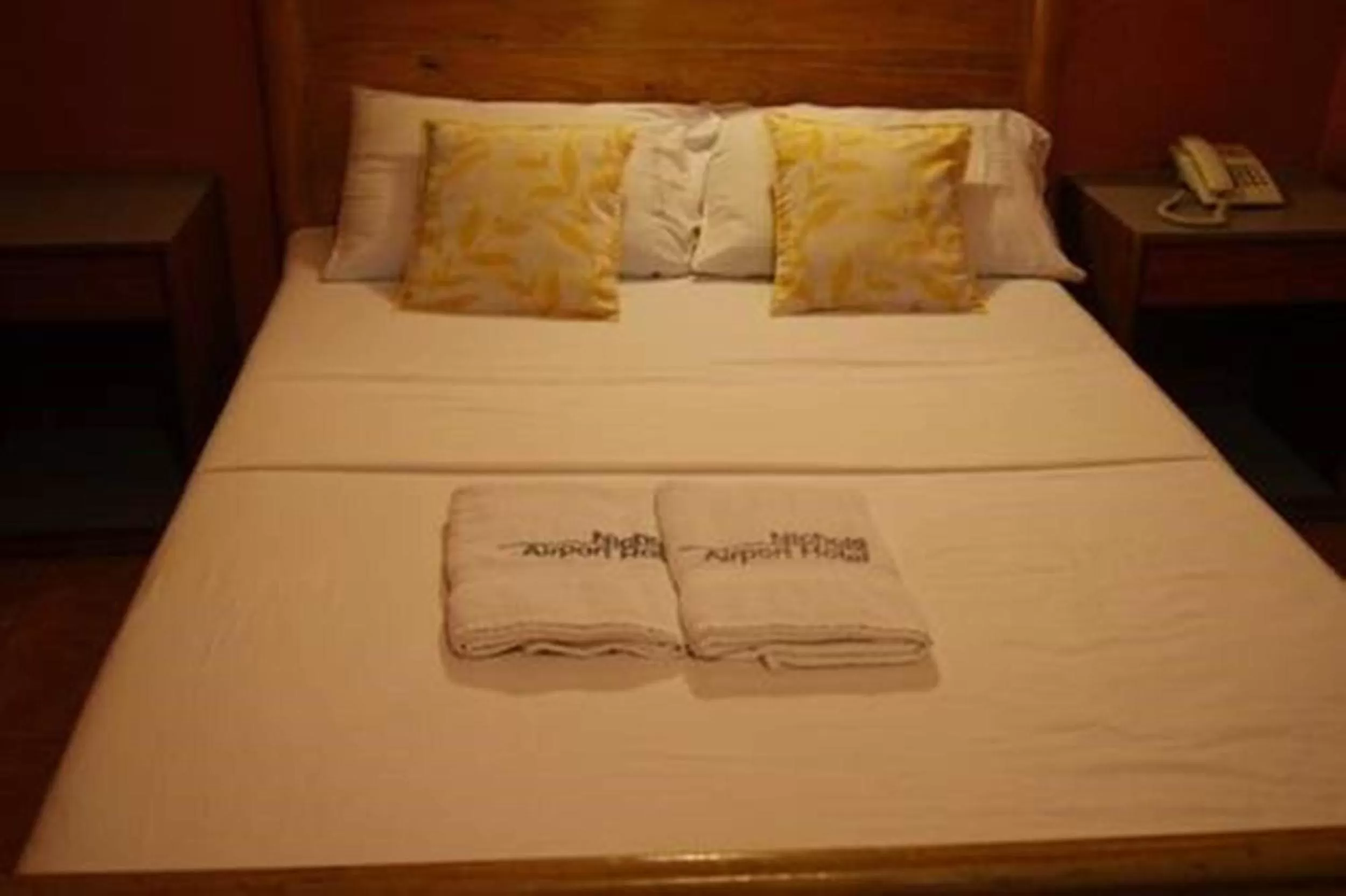 Superior Room (2 Adult) in Nichols Airport Hotel