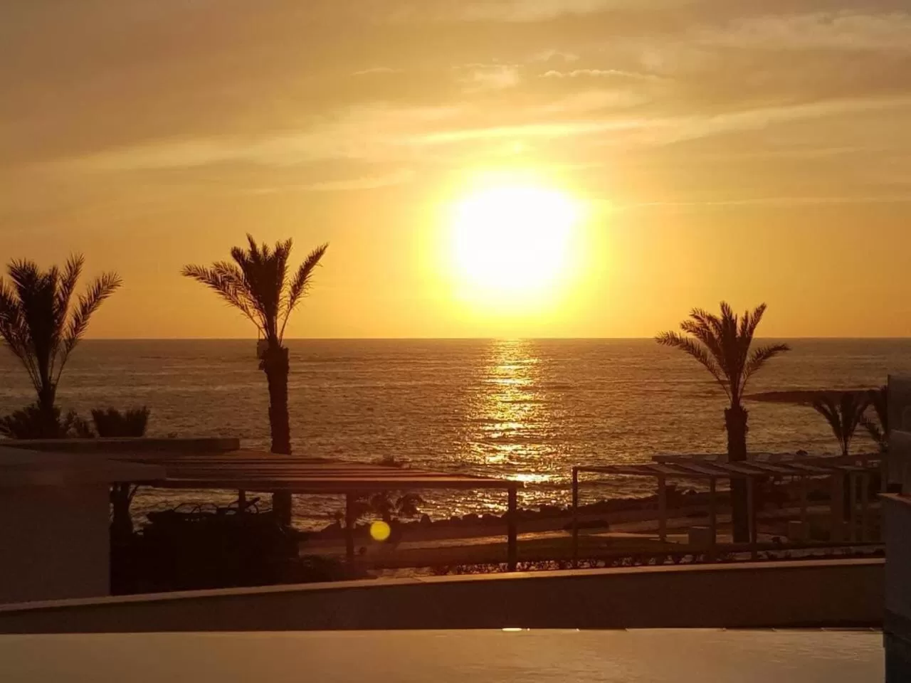 Natural landscape in King Evelthon Beach Hotel & Resort