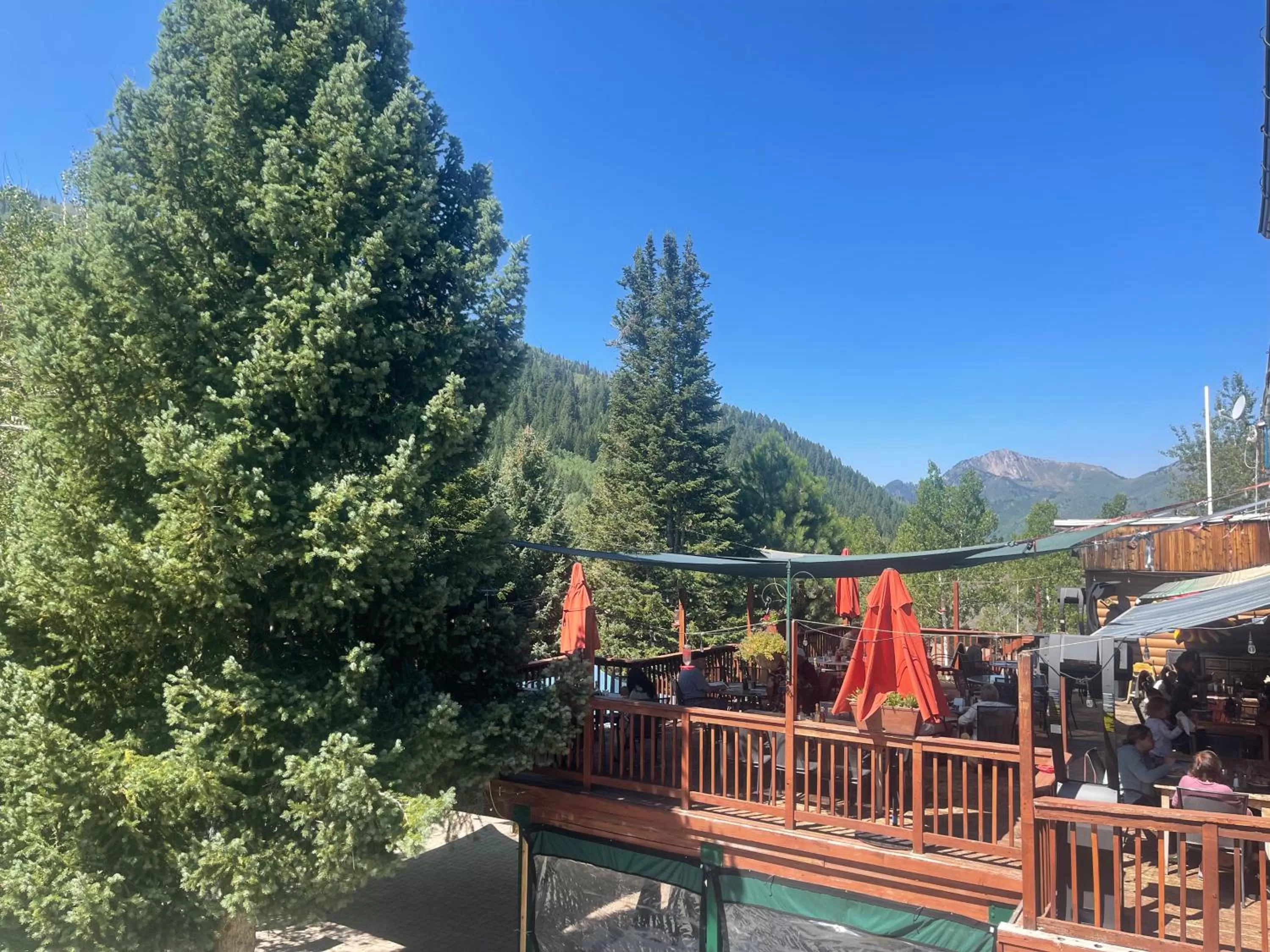 Restaurant/places to eat in Silver Fork Lodge & Restaurant