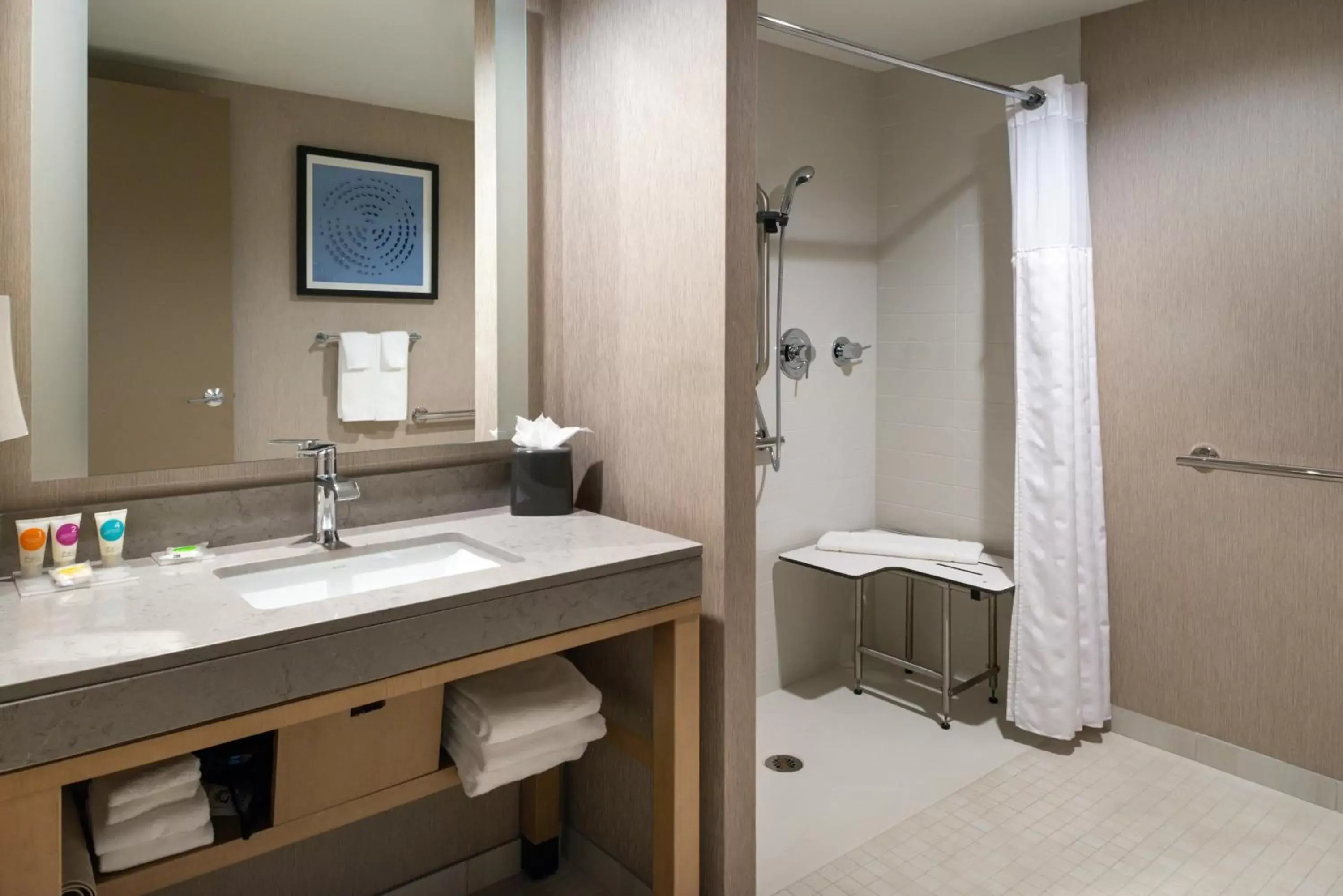 Queen Room with Two Queen Beds and Roll-In Shower - Disability Access in Hyatt Place Chicago Wicker Park Queen Room with Two Queen Beds and Roll-In Shower - Disability Access in Hyatt Place Chicago Wicker Park