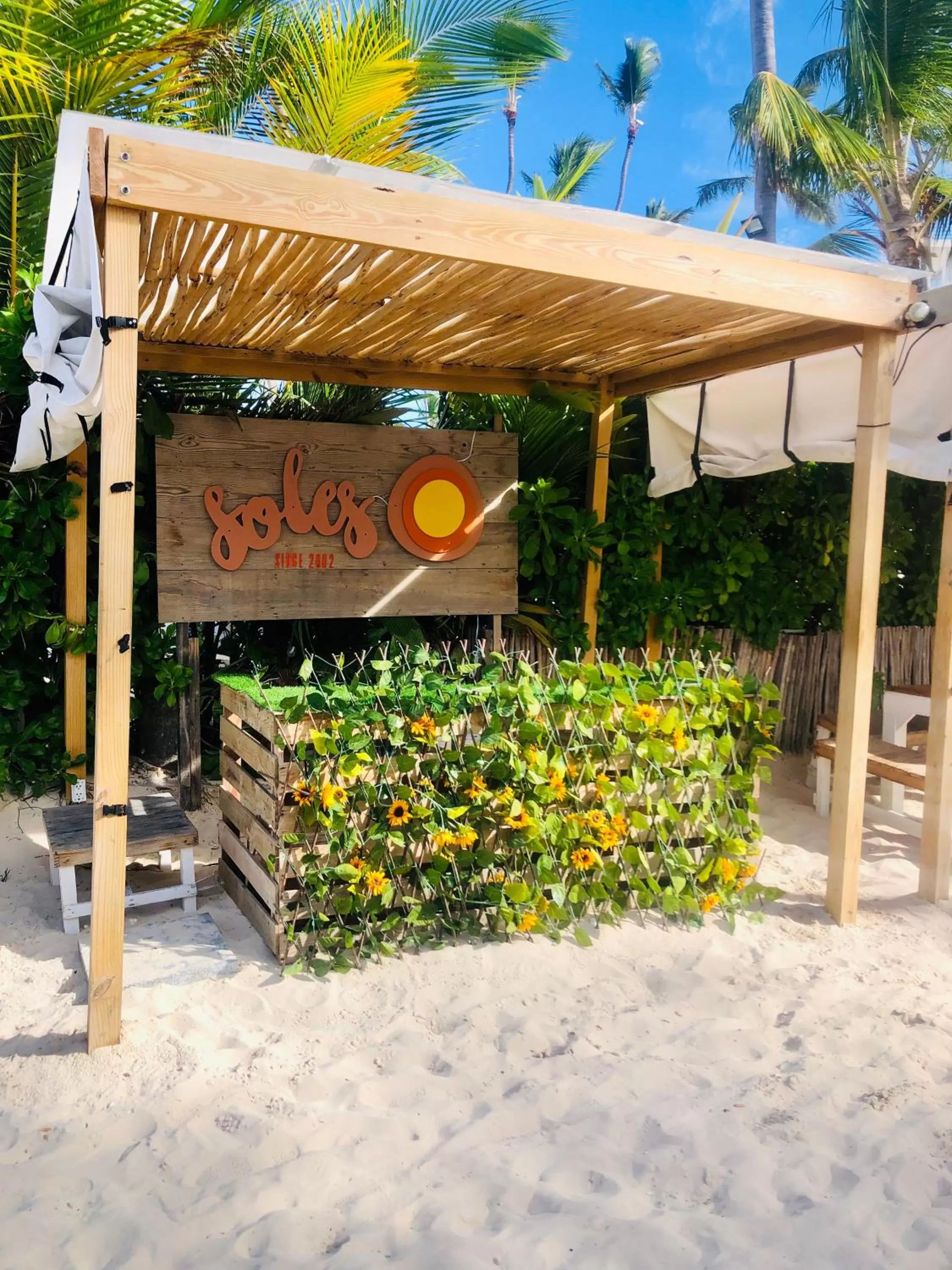 Restaurant/places to eat in Los Corales Luxury Villas Beach Club and Spa