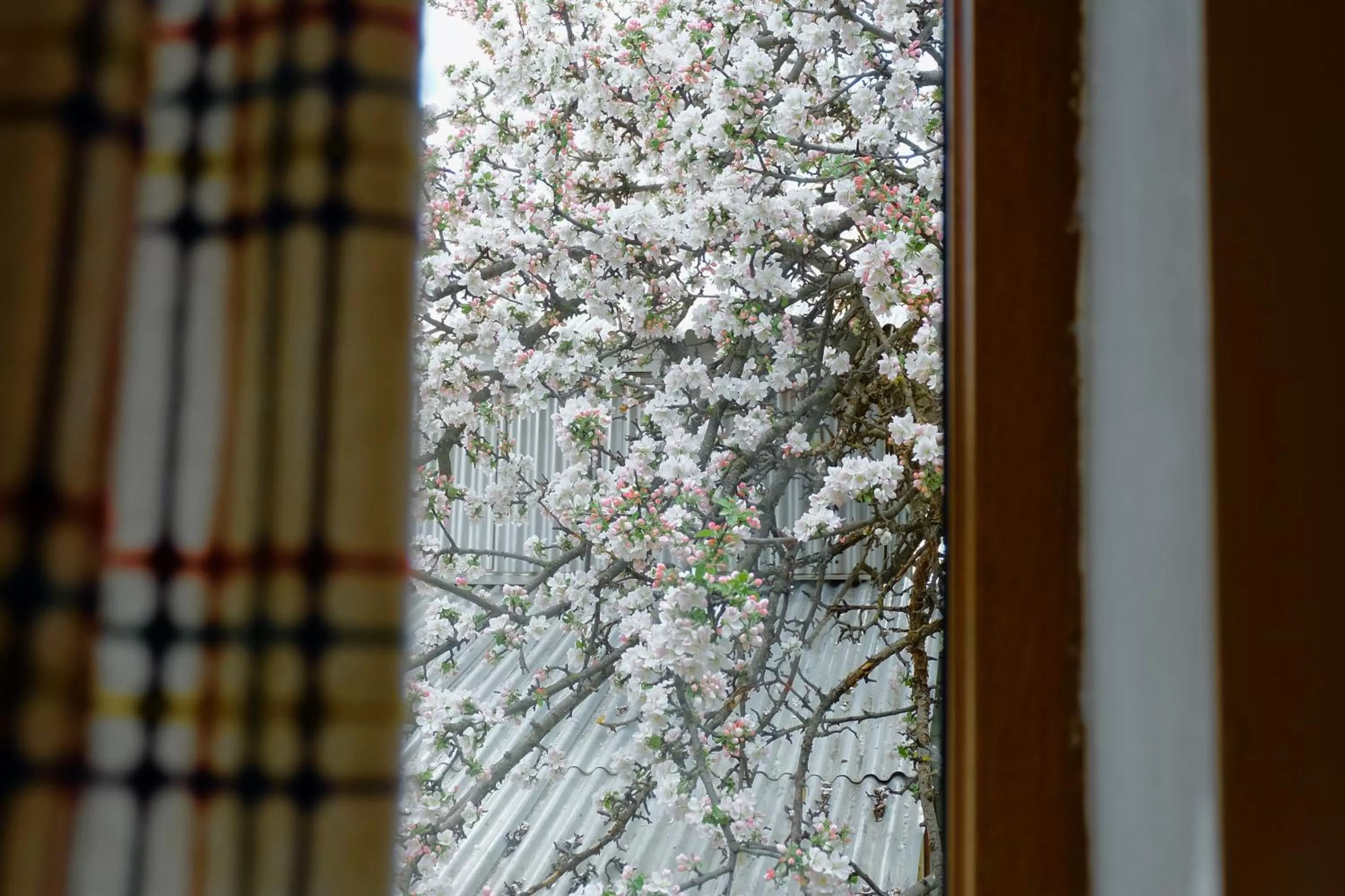 View (from property/room) in Dil Hill by Sam