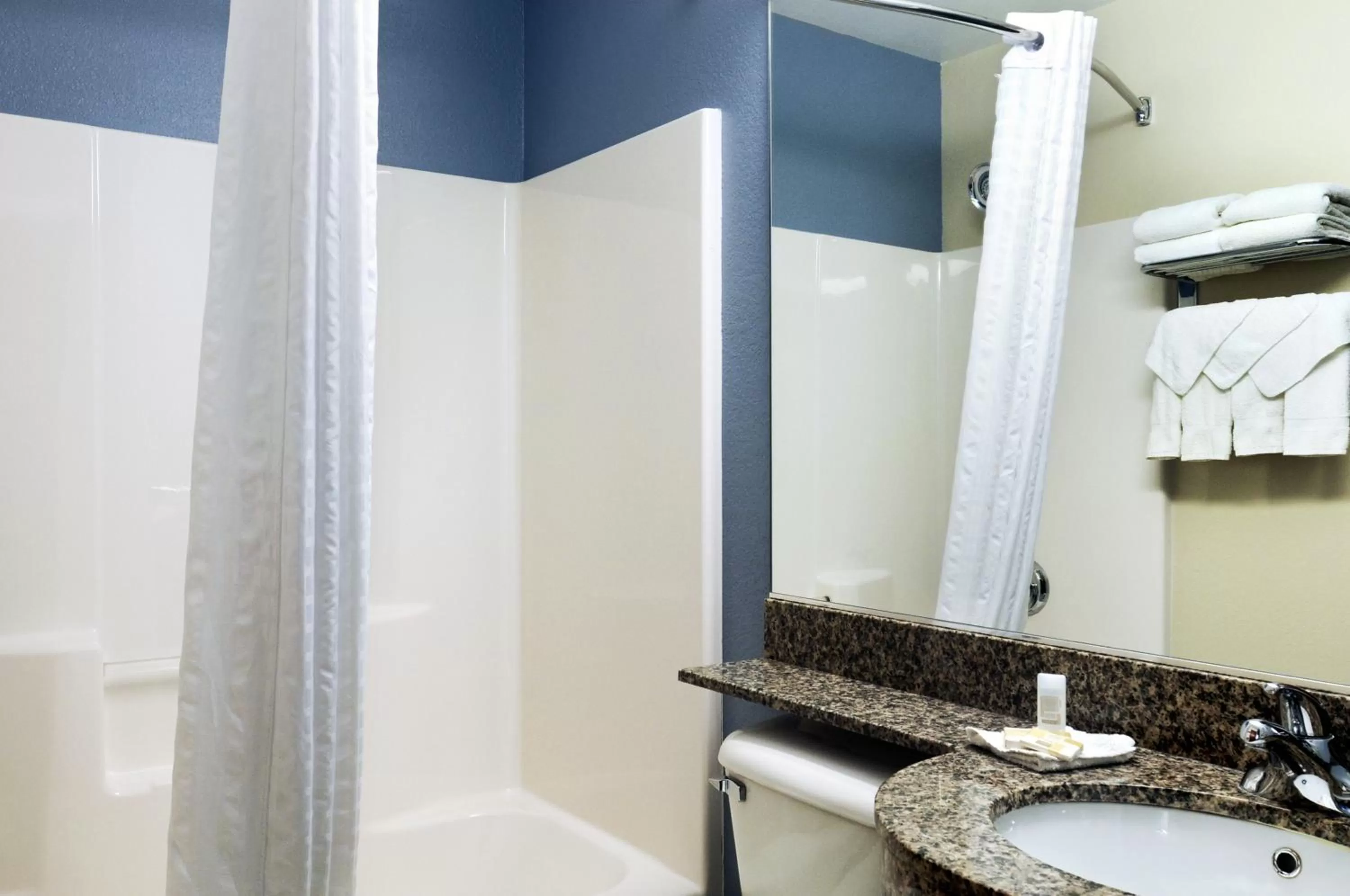 Shower in Microtel Inn & Suites Bath