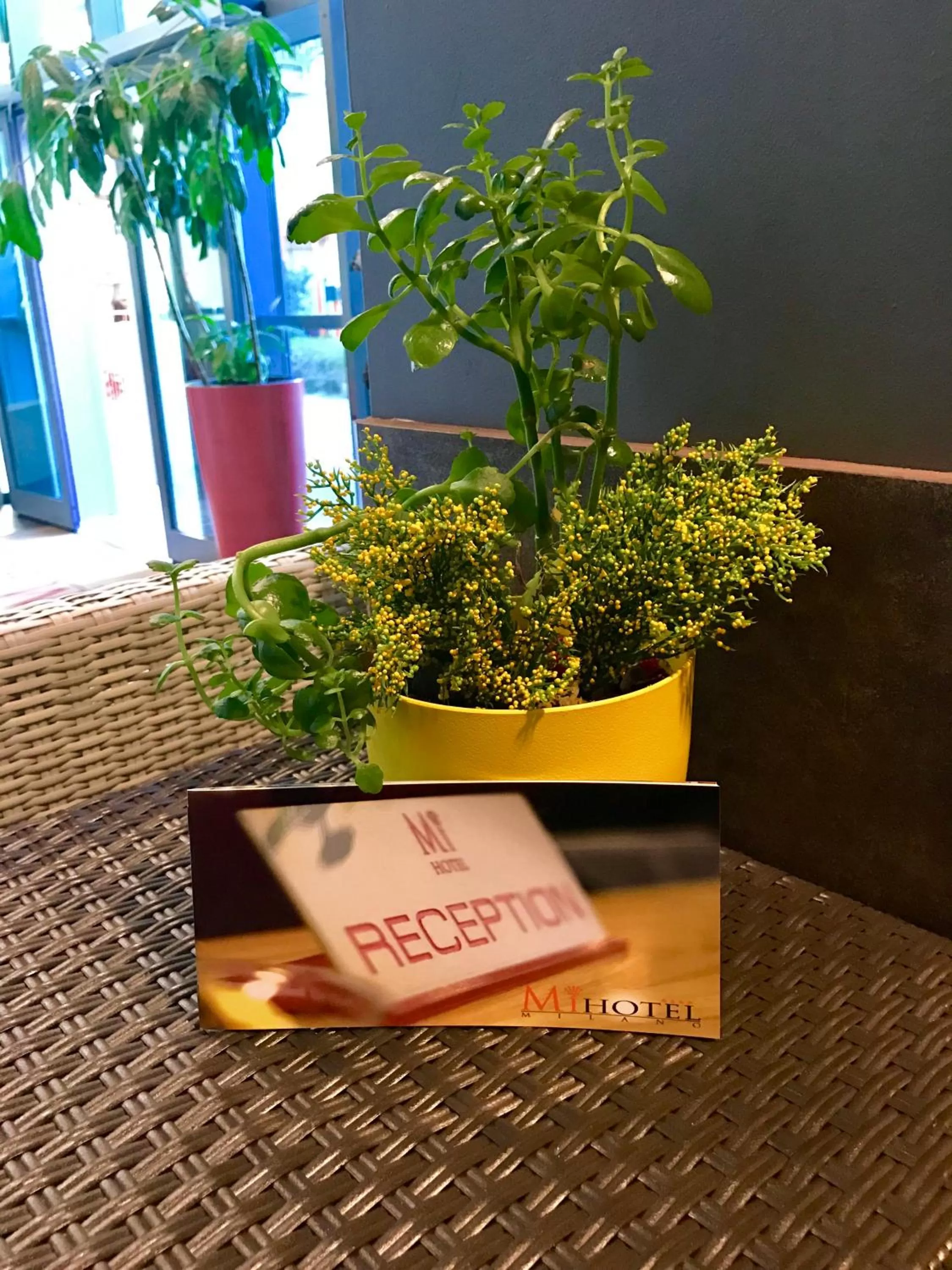 Lobby or reception in MiHotel