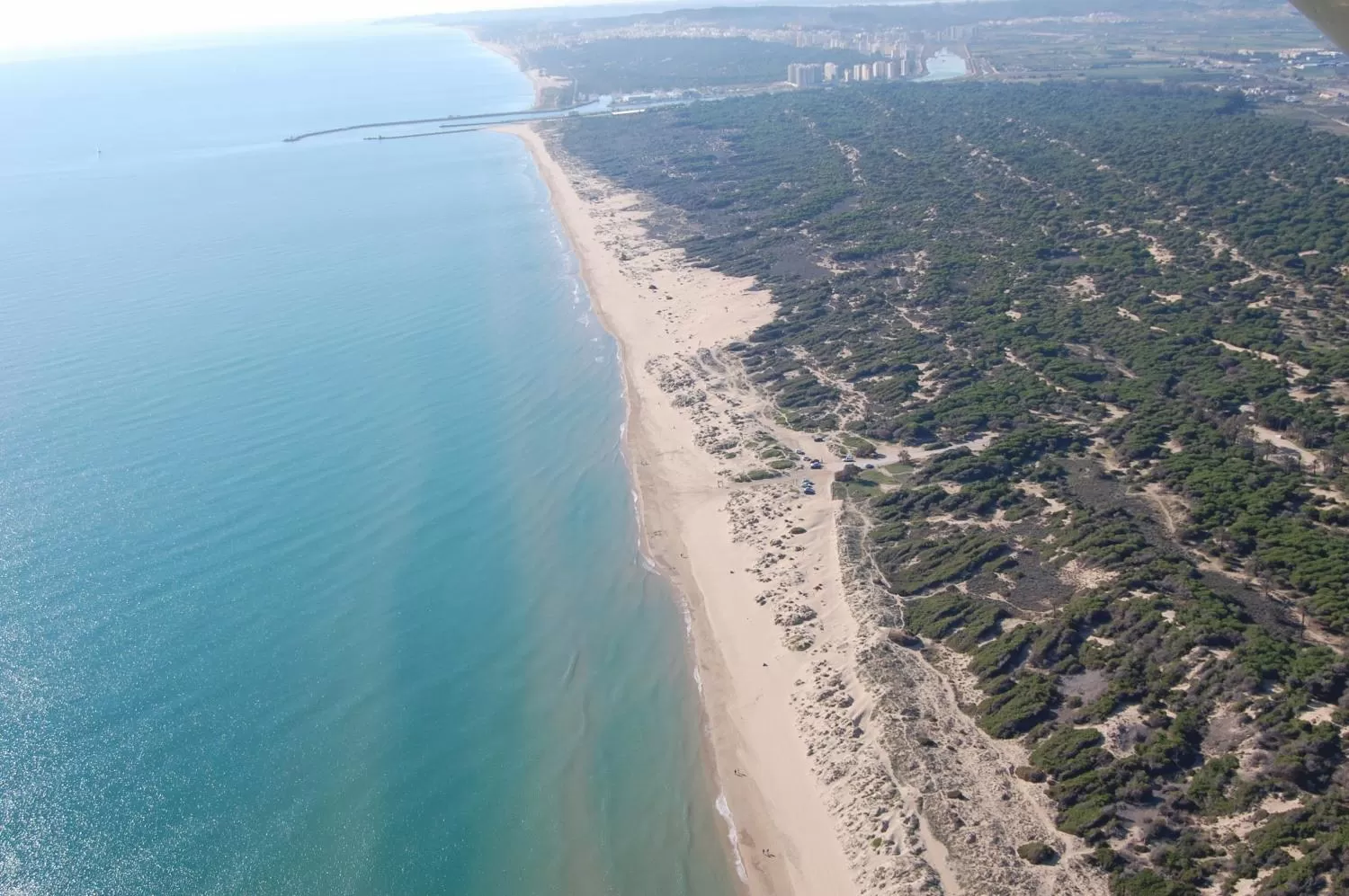 Natural landscape in Hotel Eden Mar