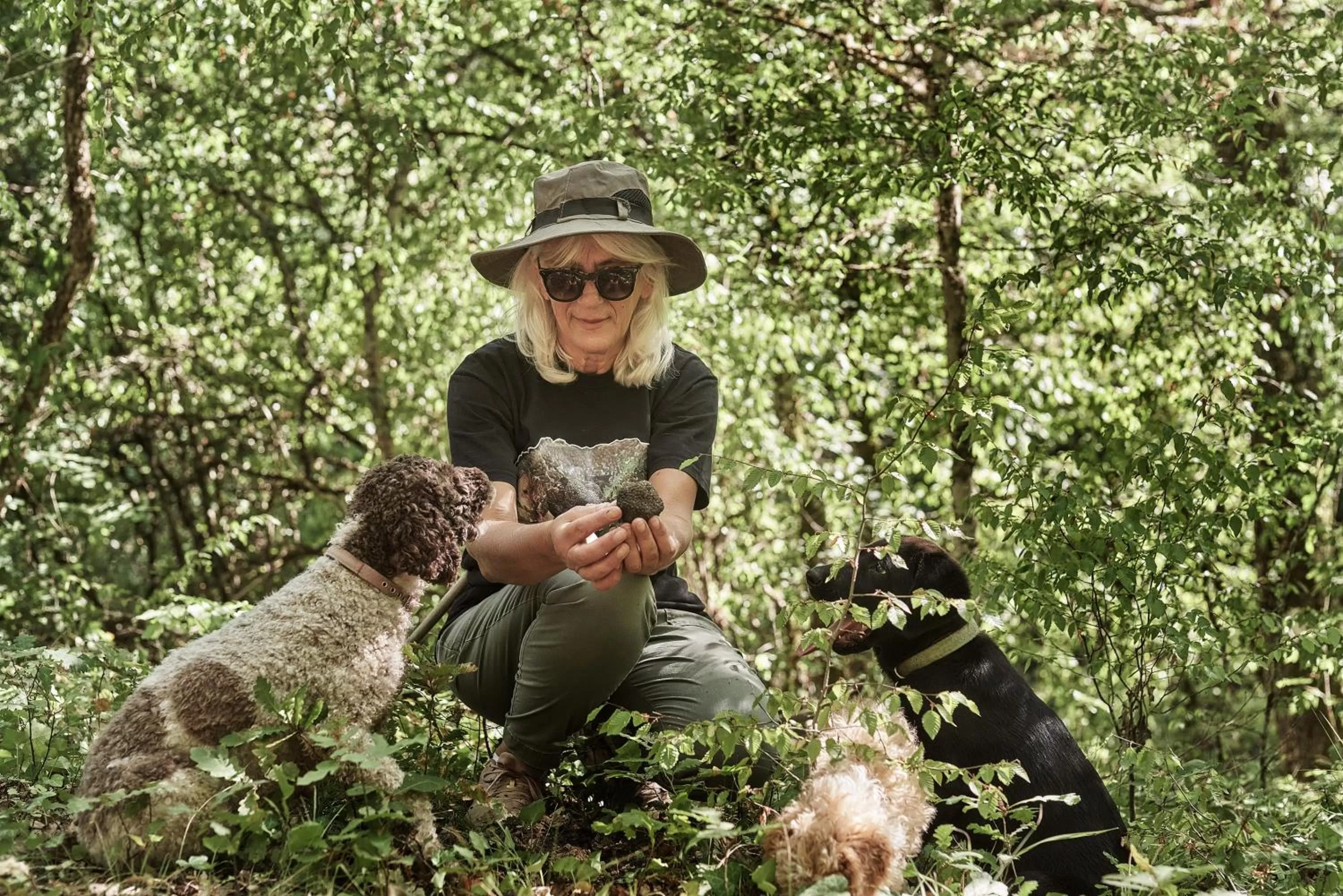 Activities in Grand Forest Metsovo - Leading Hotels of the World