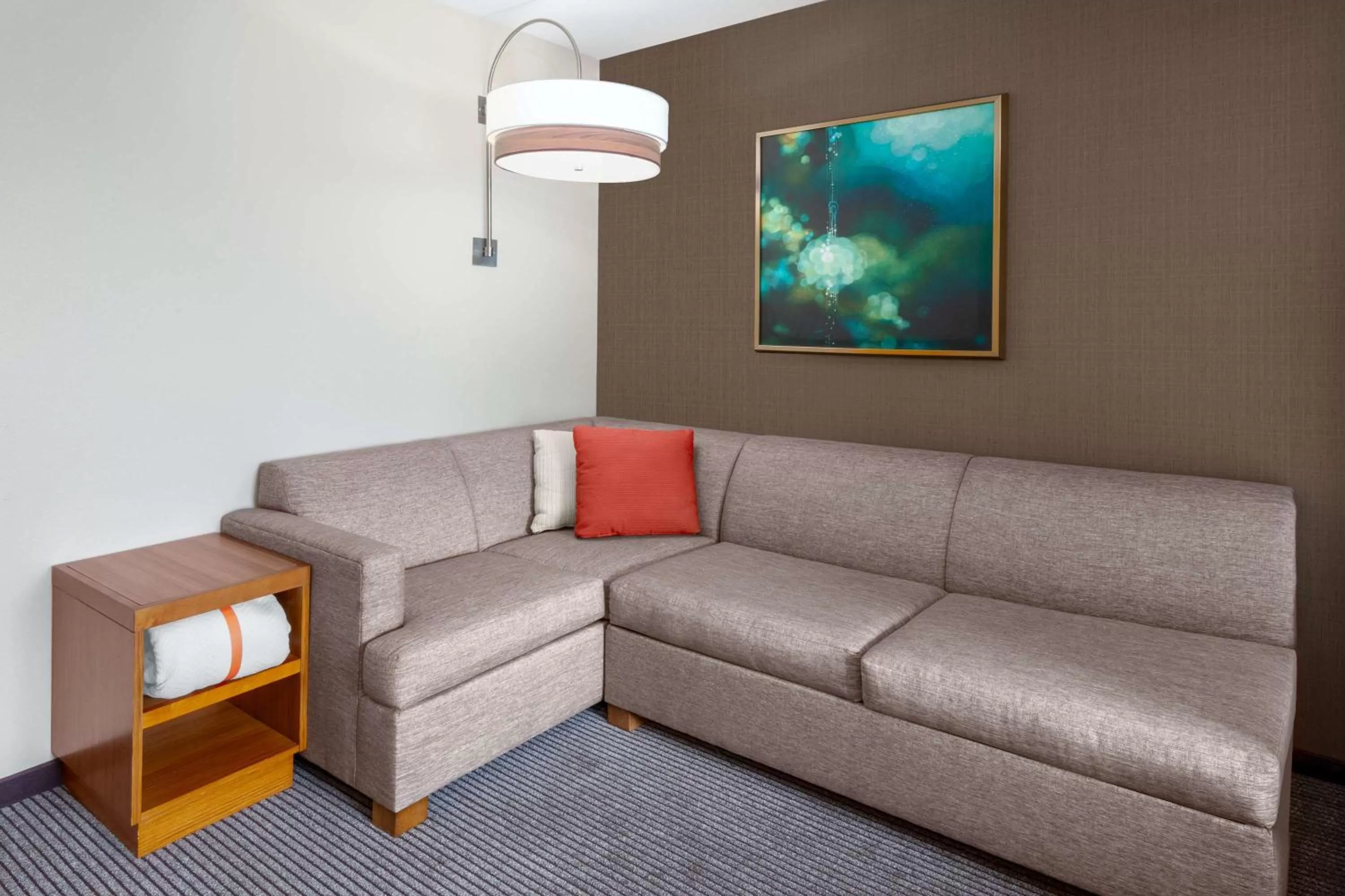 Photo of the whole room in Hyatt Place Denver Downtown