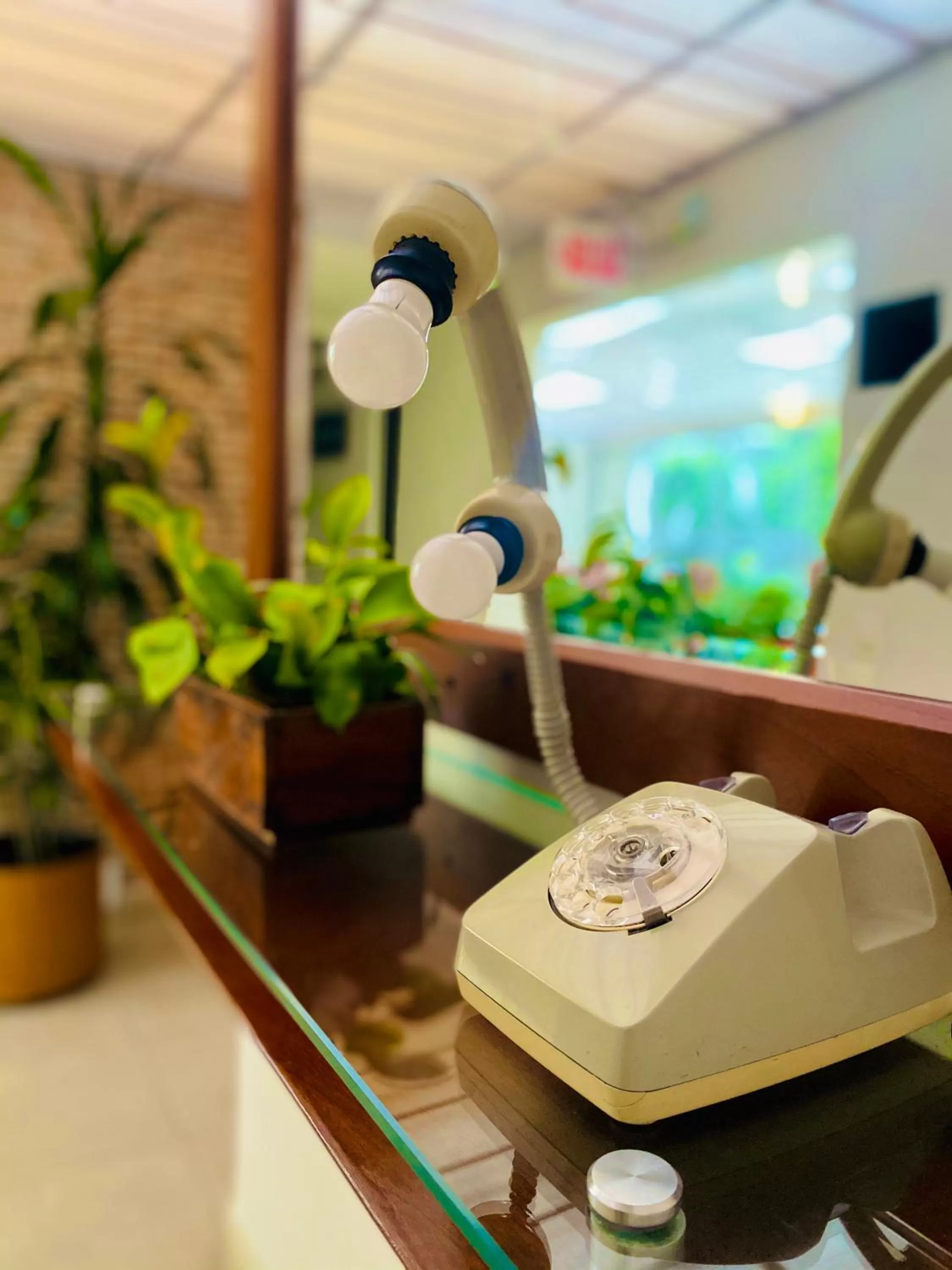 Property building in Hotel Marbella Chico