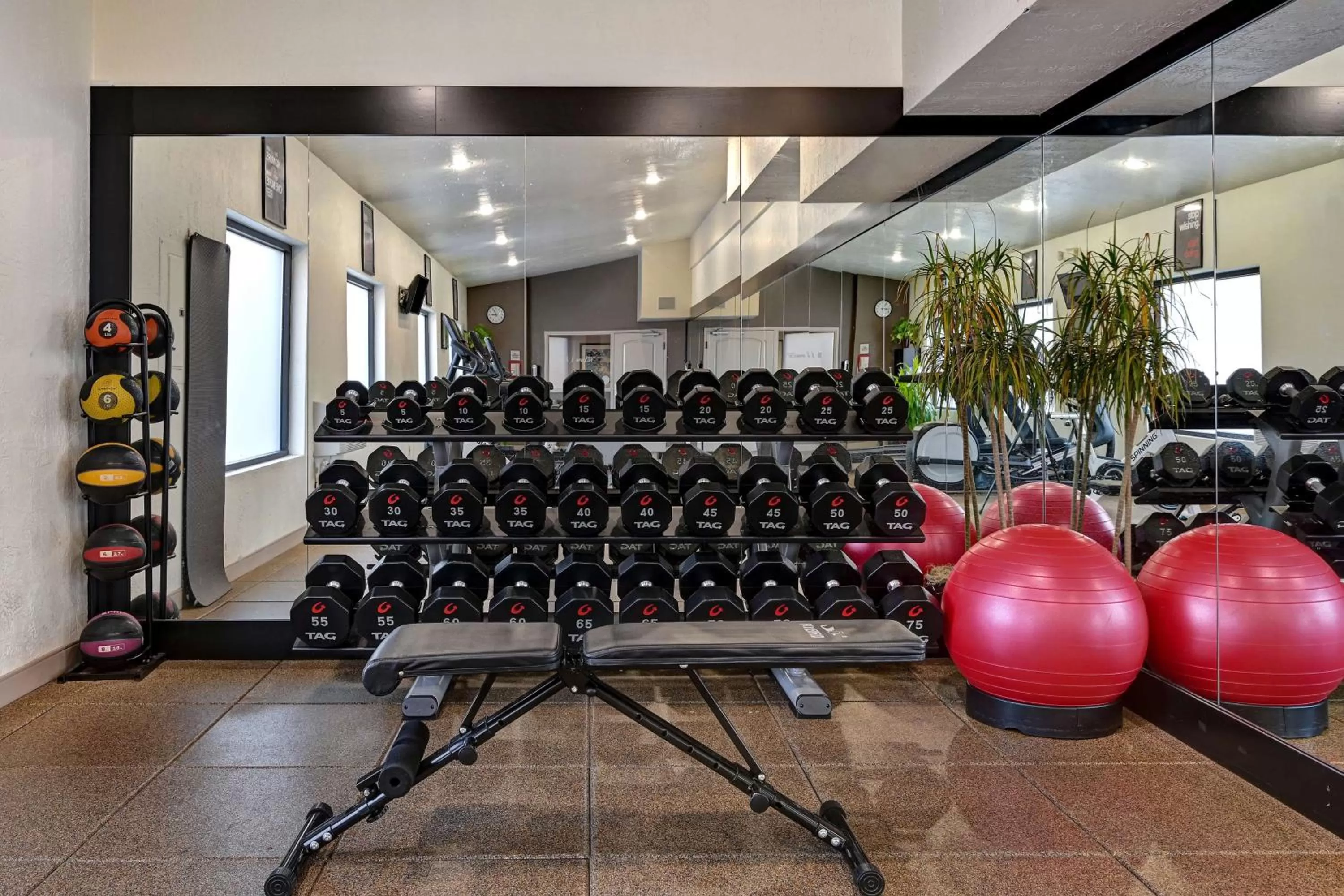 Fitness centre/facilities in Embassy Suites by Hilton Colorado Springs