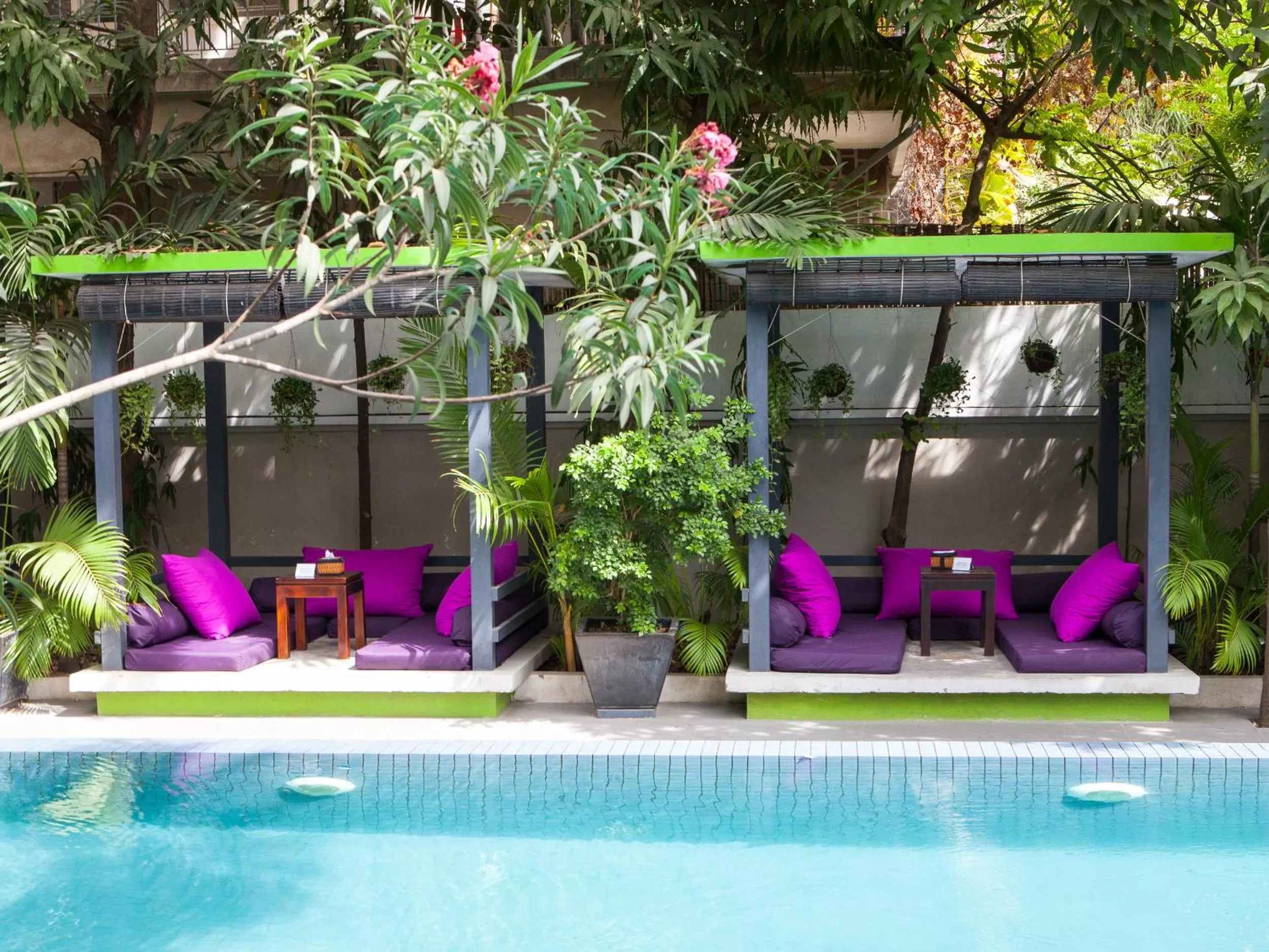 , Swimming Pool in The 252