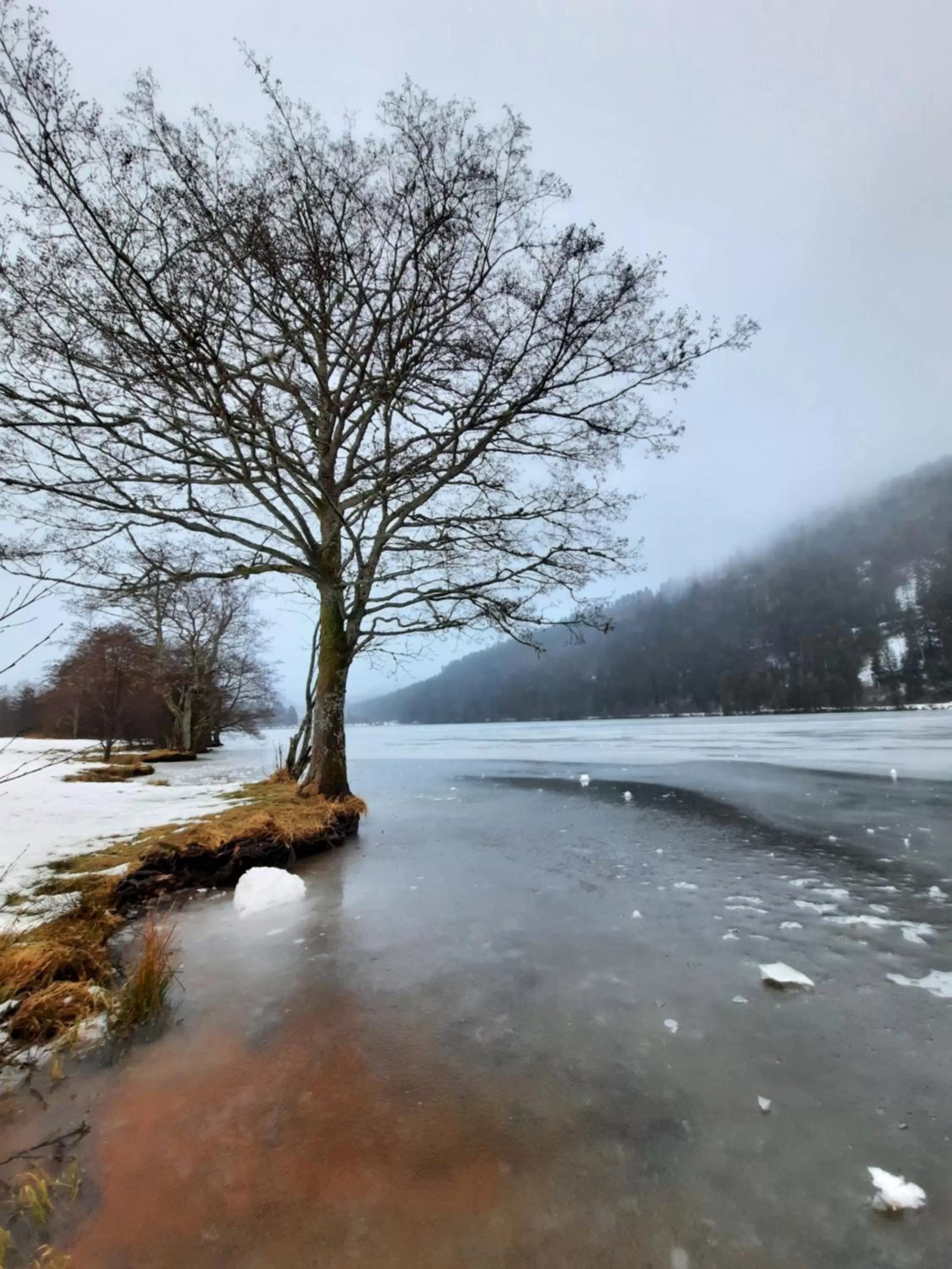 Other in Au Cœur des Lacs - Chambres d'hôtes