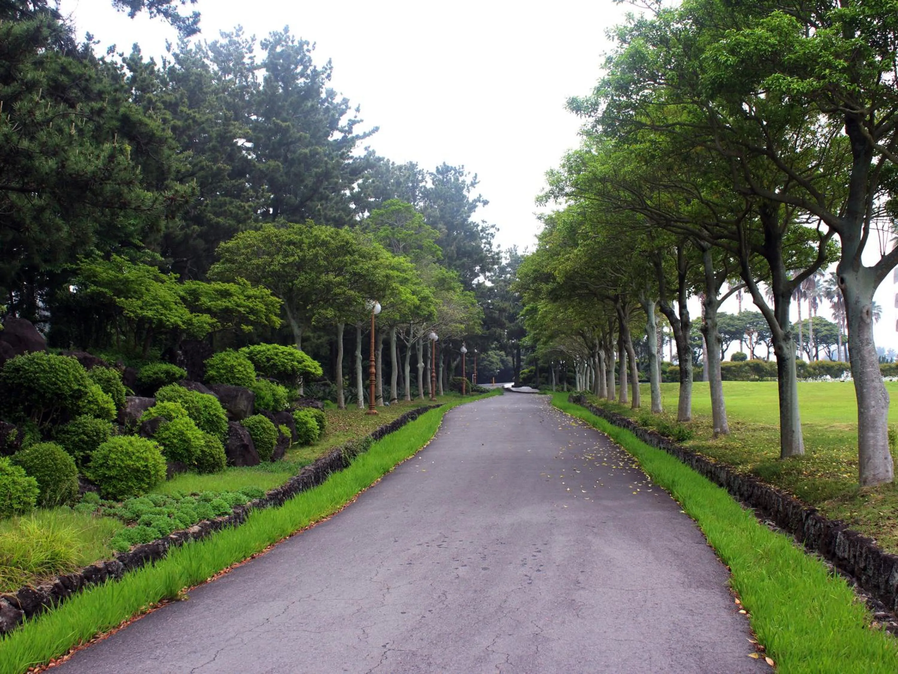 Garden in Seogwipo KAL Hotel
