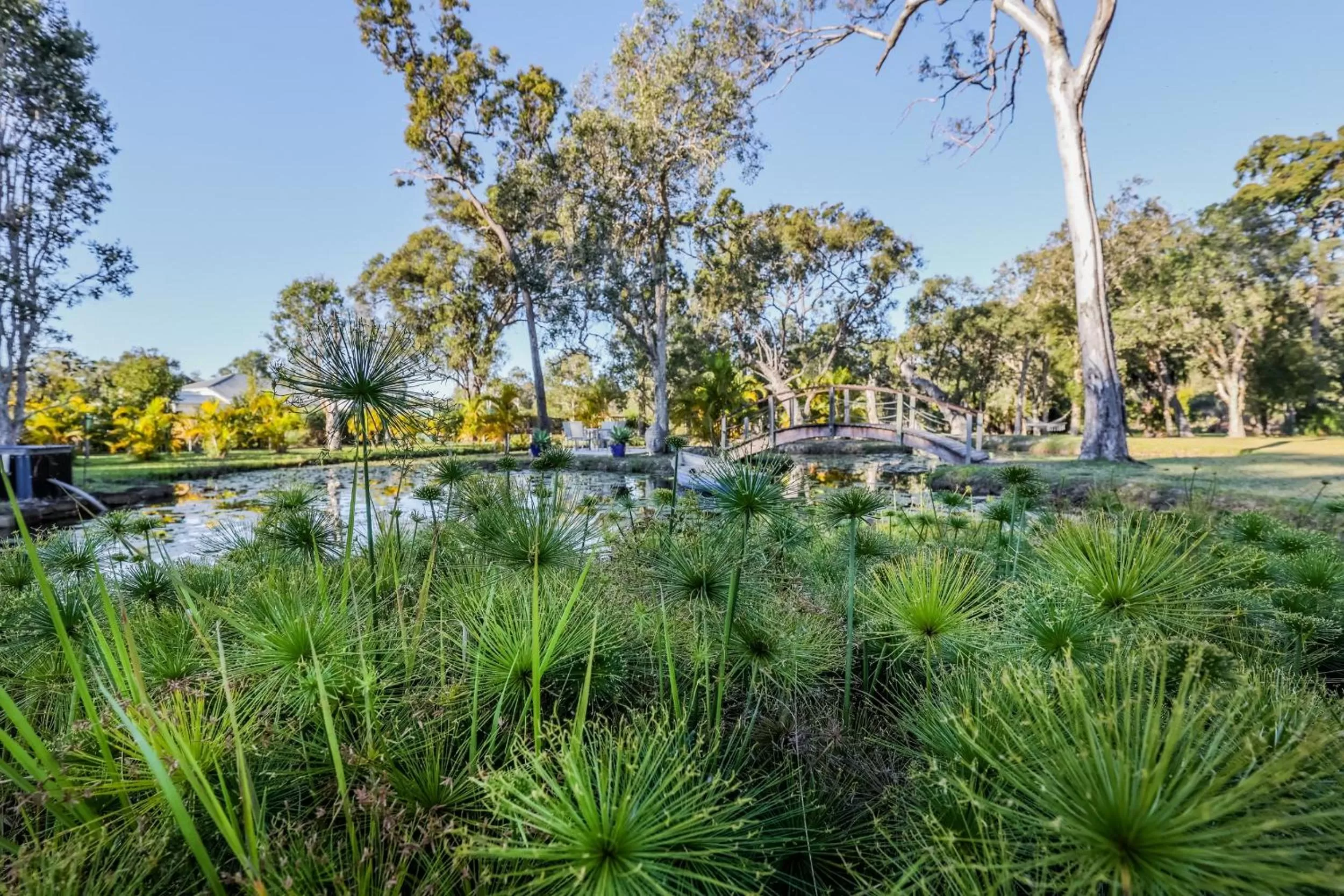 View (from property/room) in Agnes Water Stays over18's