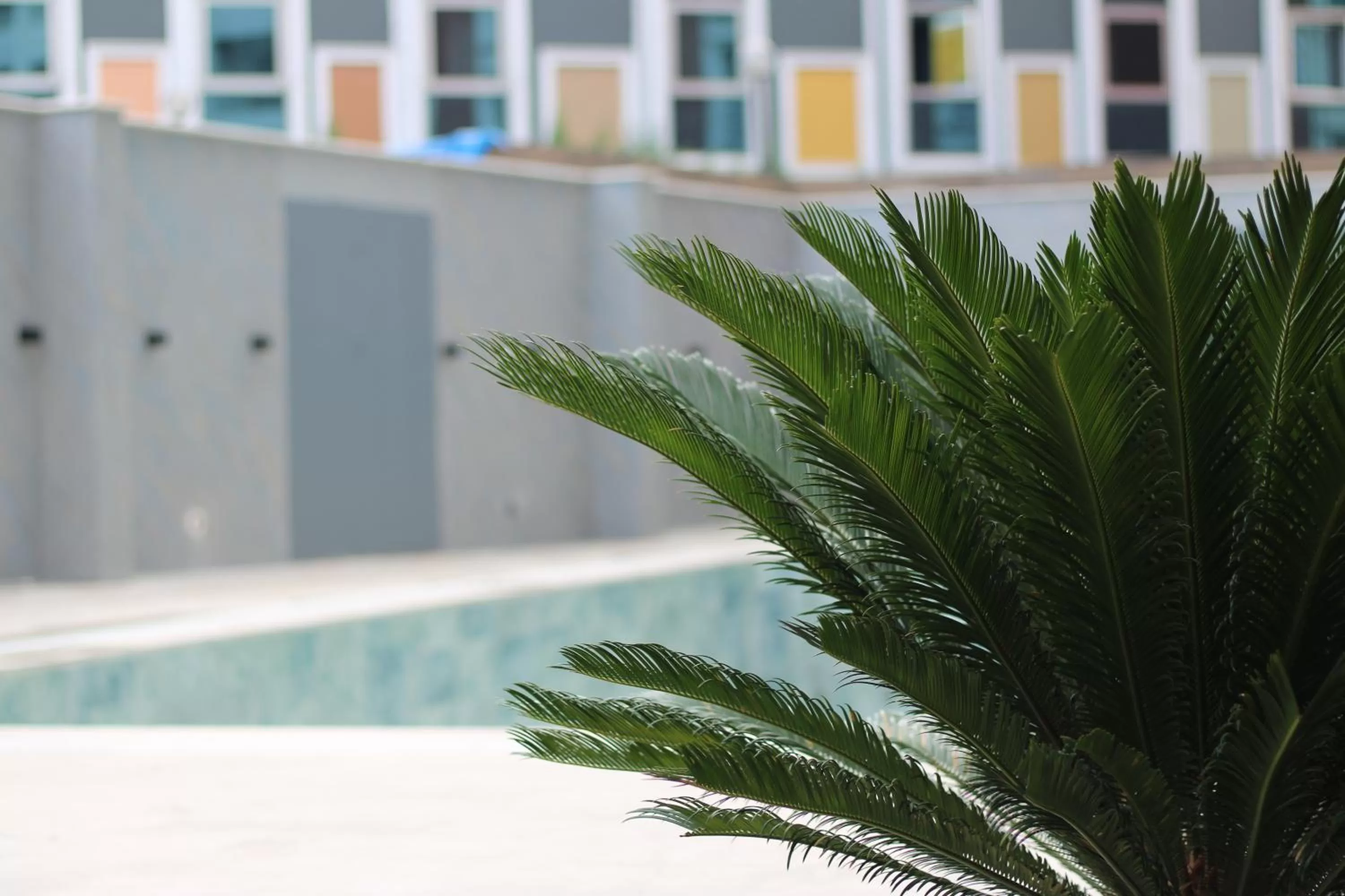 Swimming pool in Ramada Plaza Sultanahmet