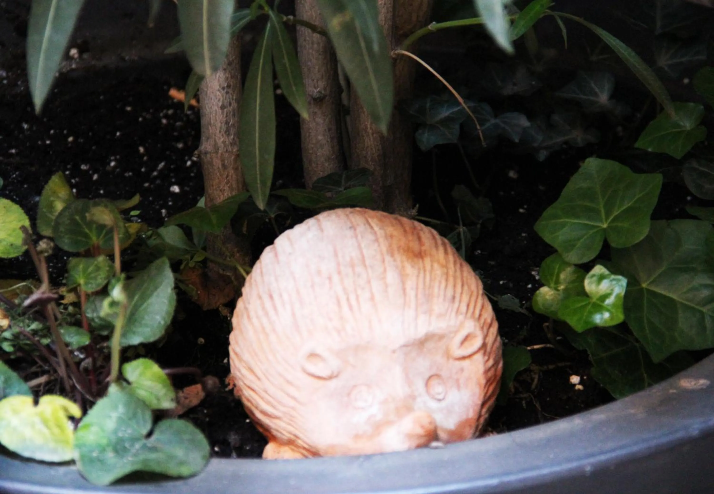 Lounge or bar in Albergo Al Viale