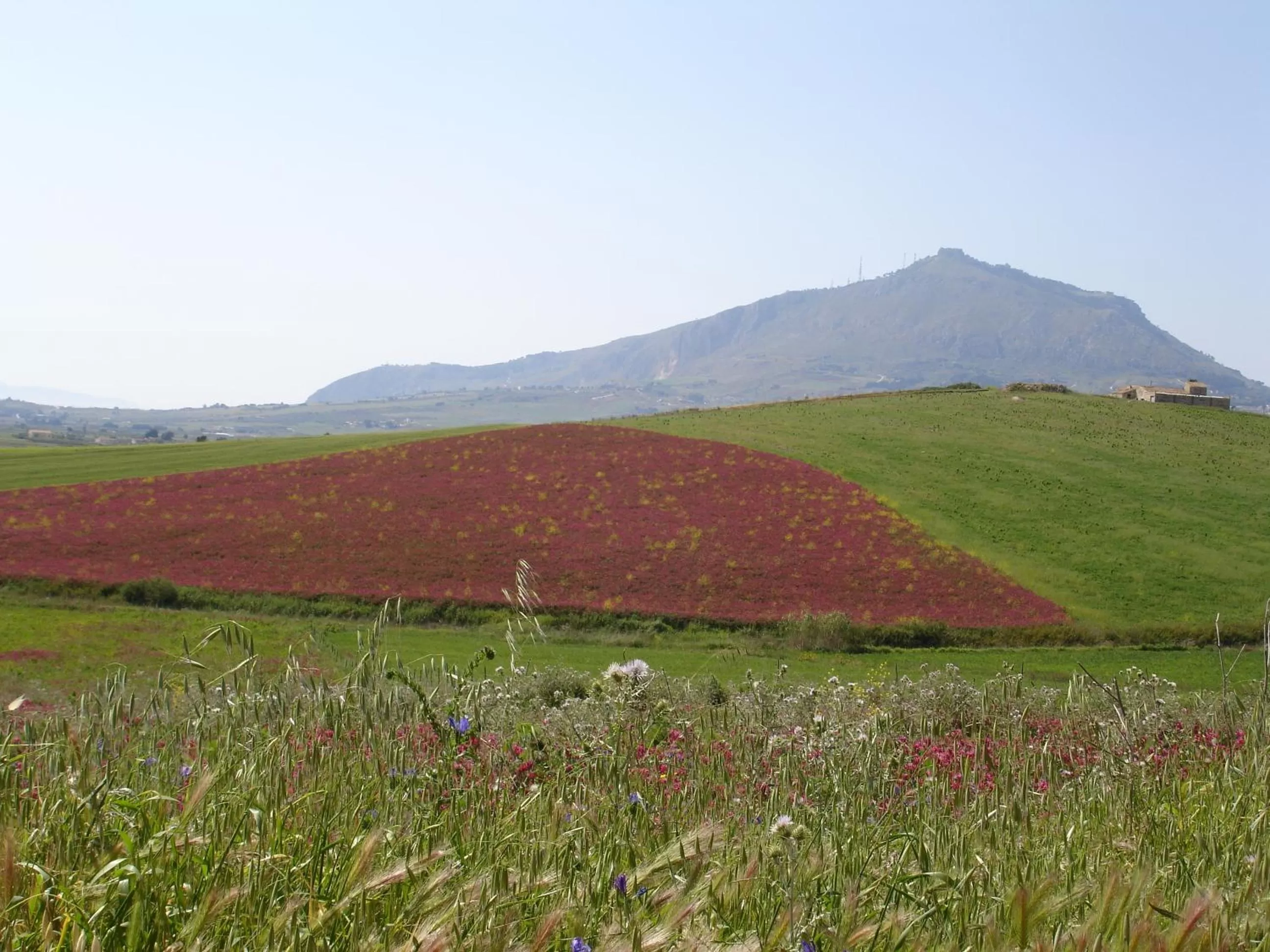 View (from property/room), Natural Landscape in Xanadu - Villa Giardinata