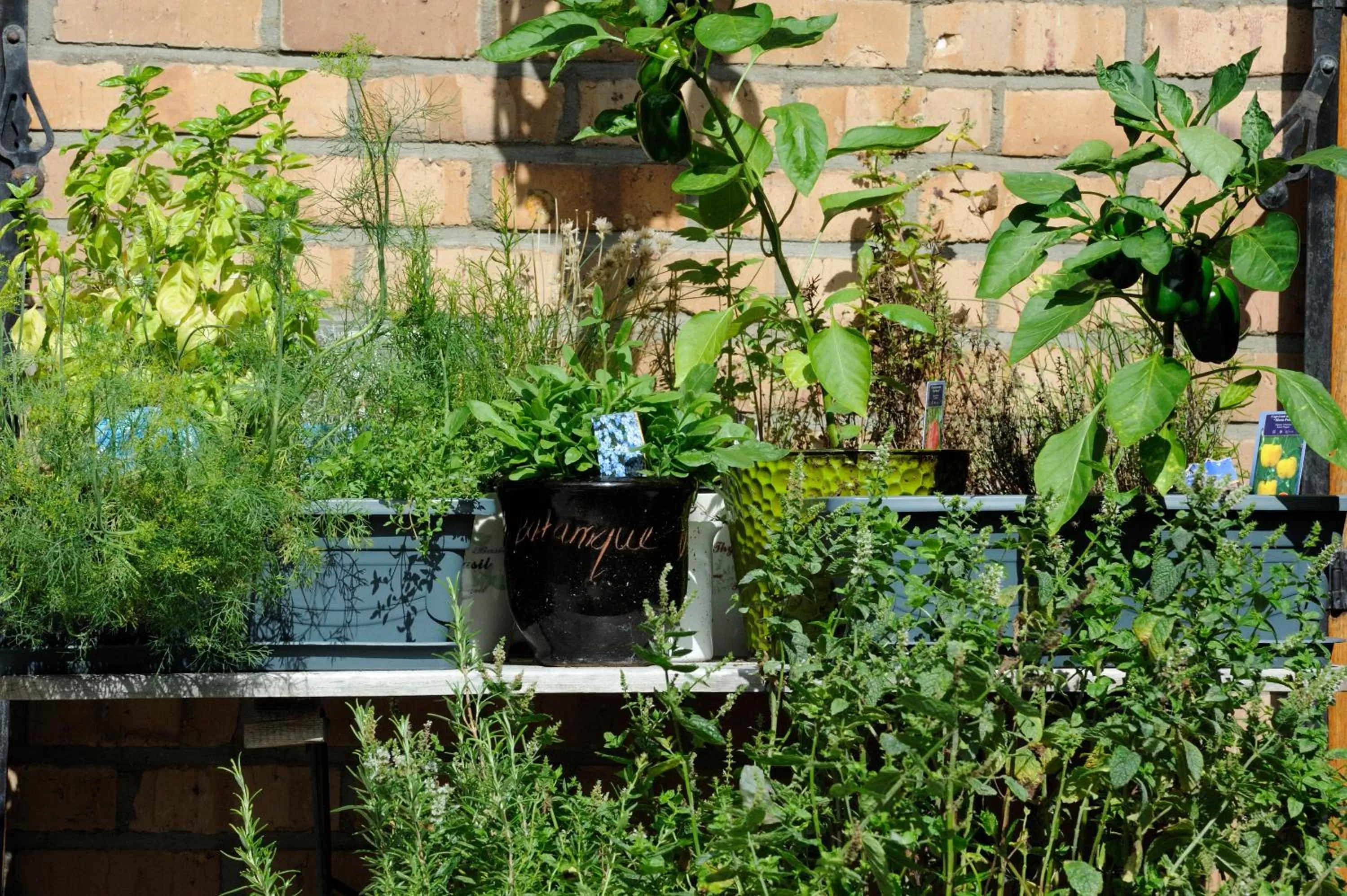 Other in Villa Lumina