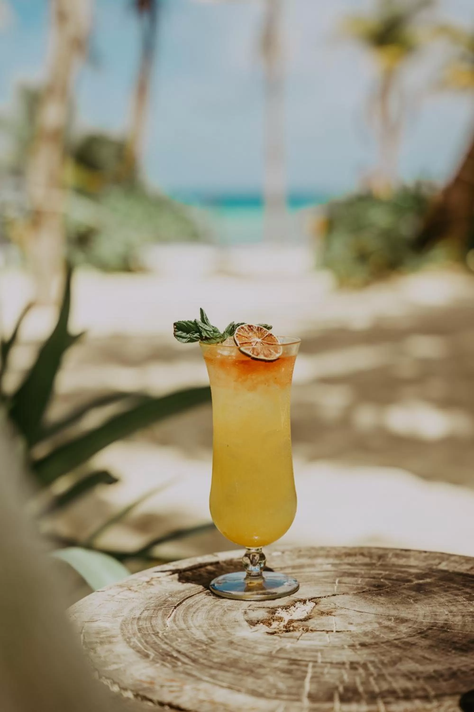 Drinks in Petit Lafitte Beach Front Hotel & Bungalows