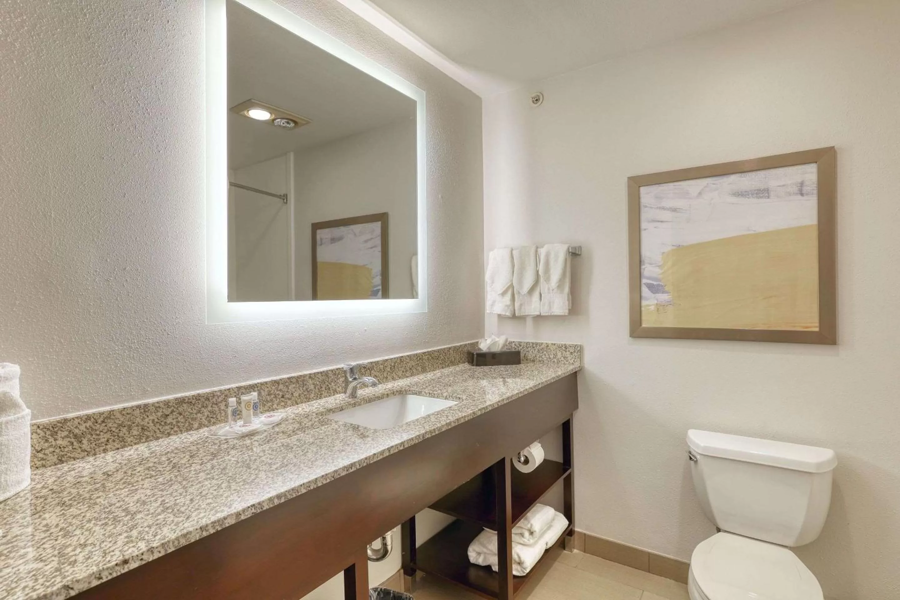 Bedroom in Comfort Suites Milwaukee Airport