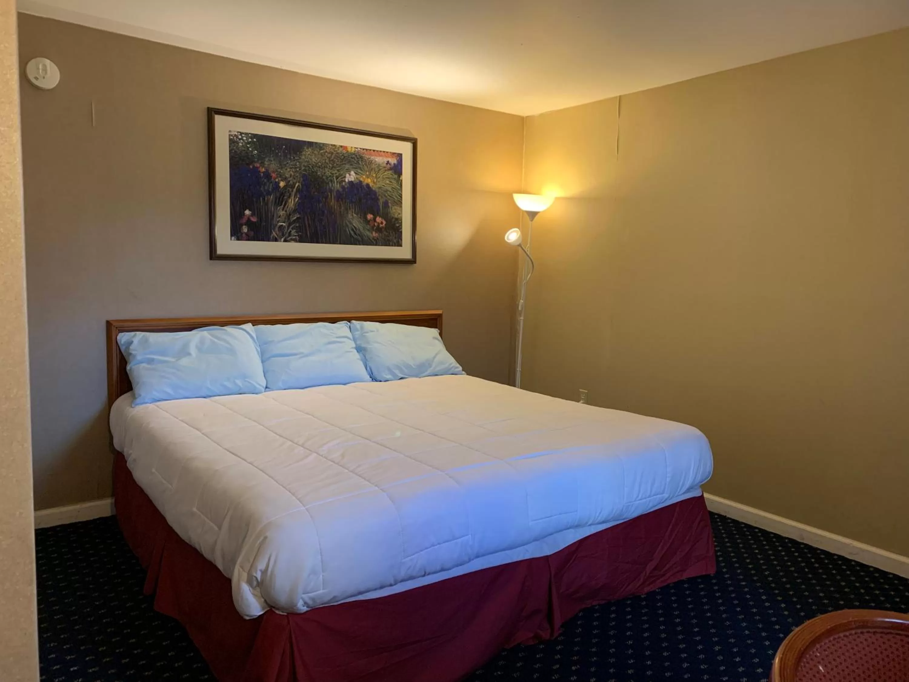 Bed in Scottish Inns Fayetteville