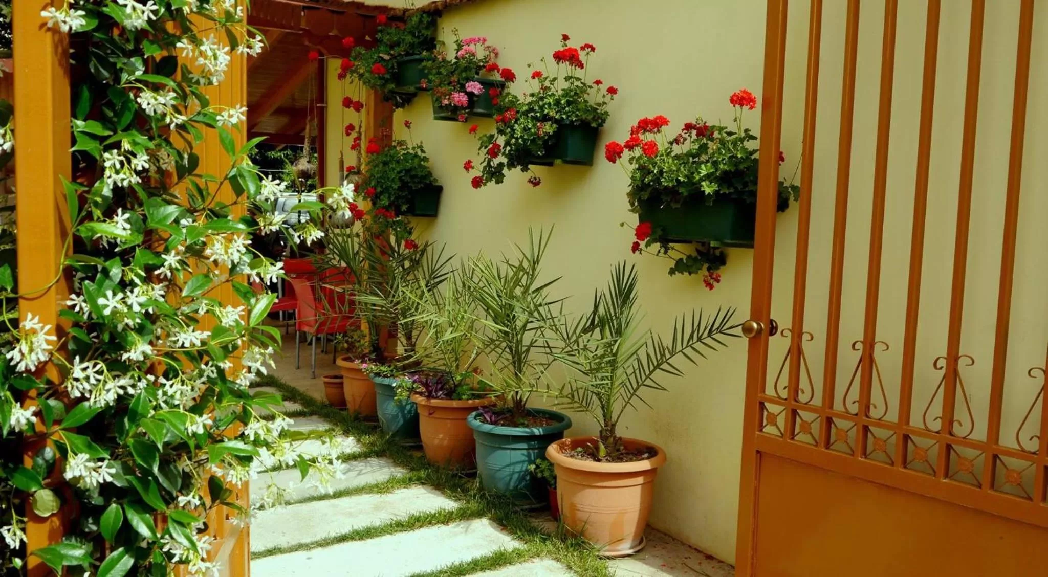 Garden in Kruja Hotel