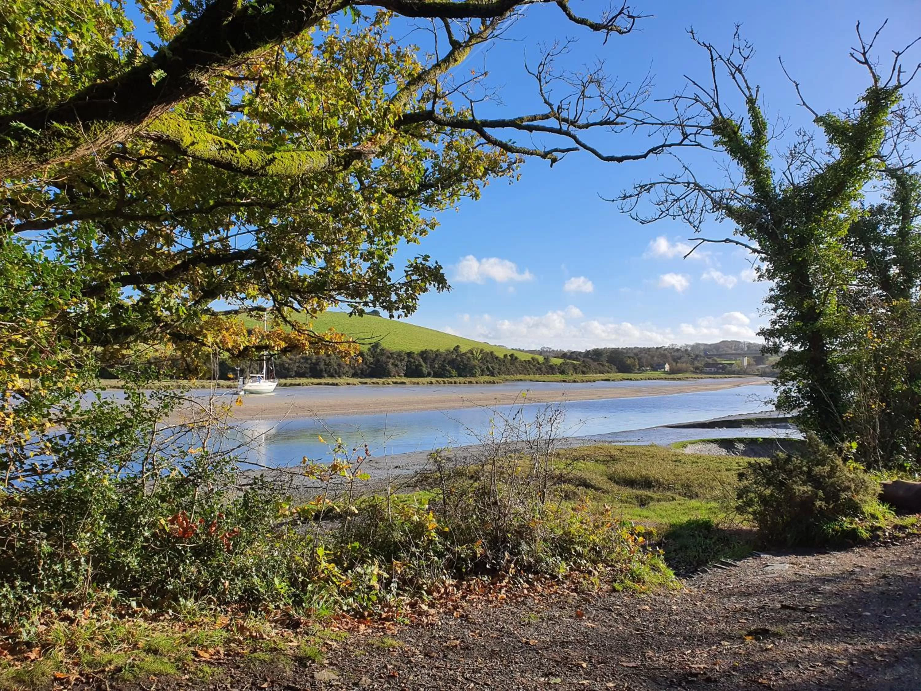 Natural landscape in Hustyns Resort Cornwall