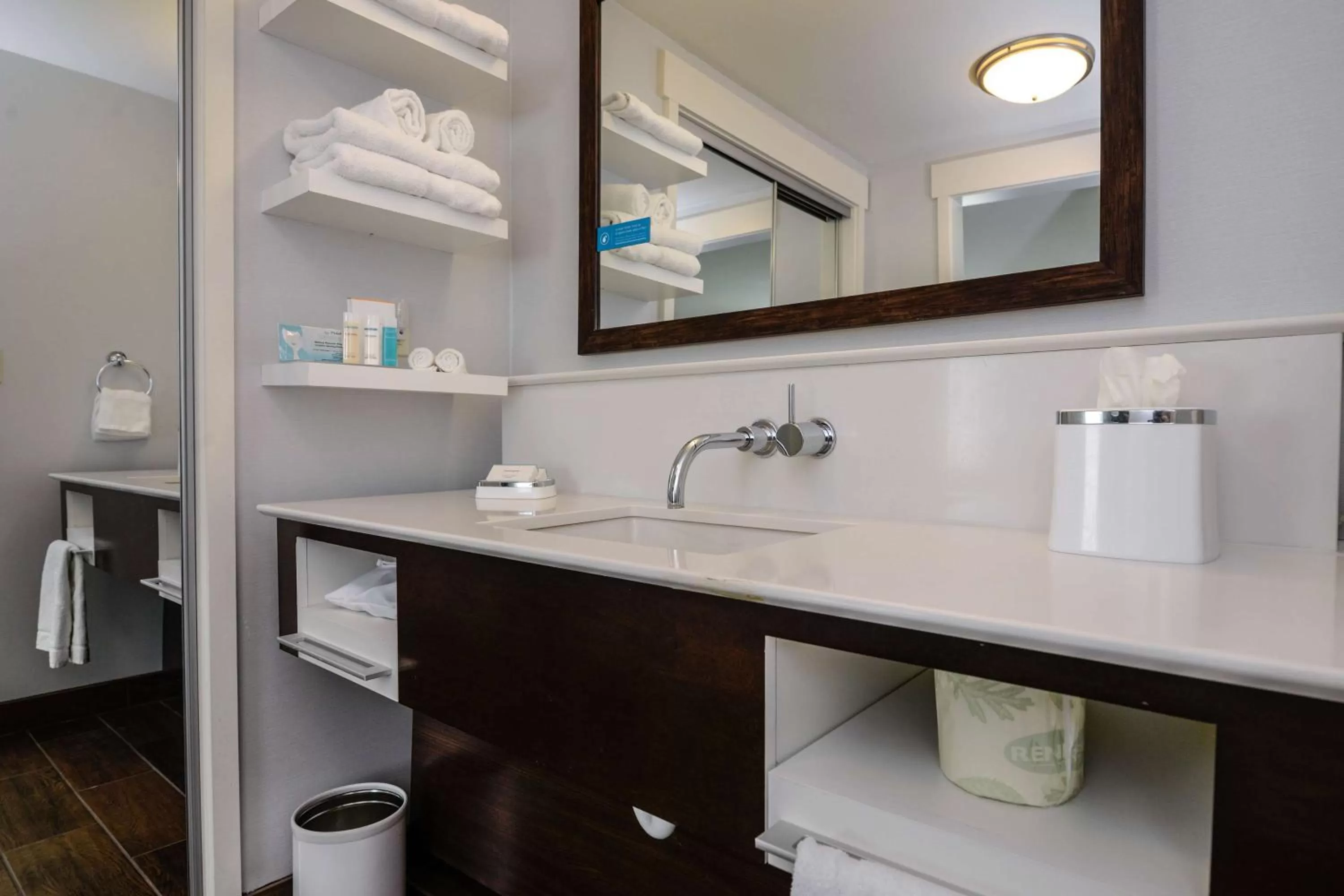 Bathroom in Hampton Inn Brighton Mi